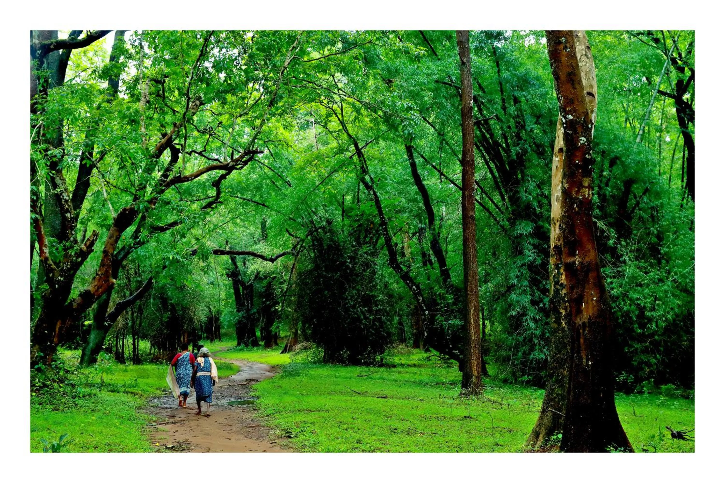 View (from property/room) in Vayal Veedu