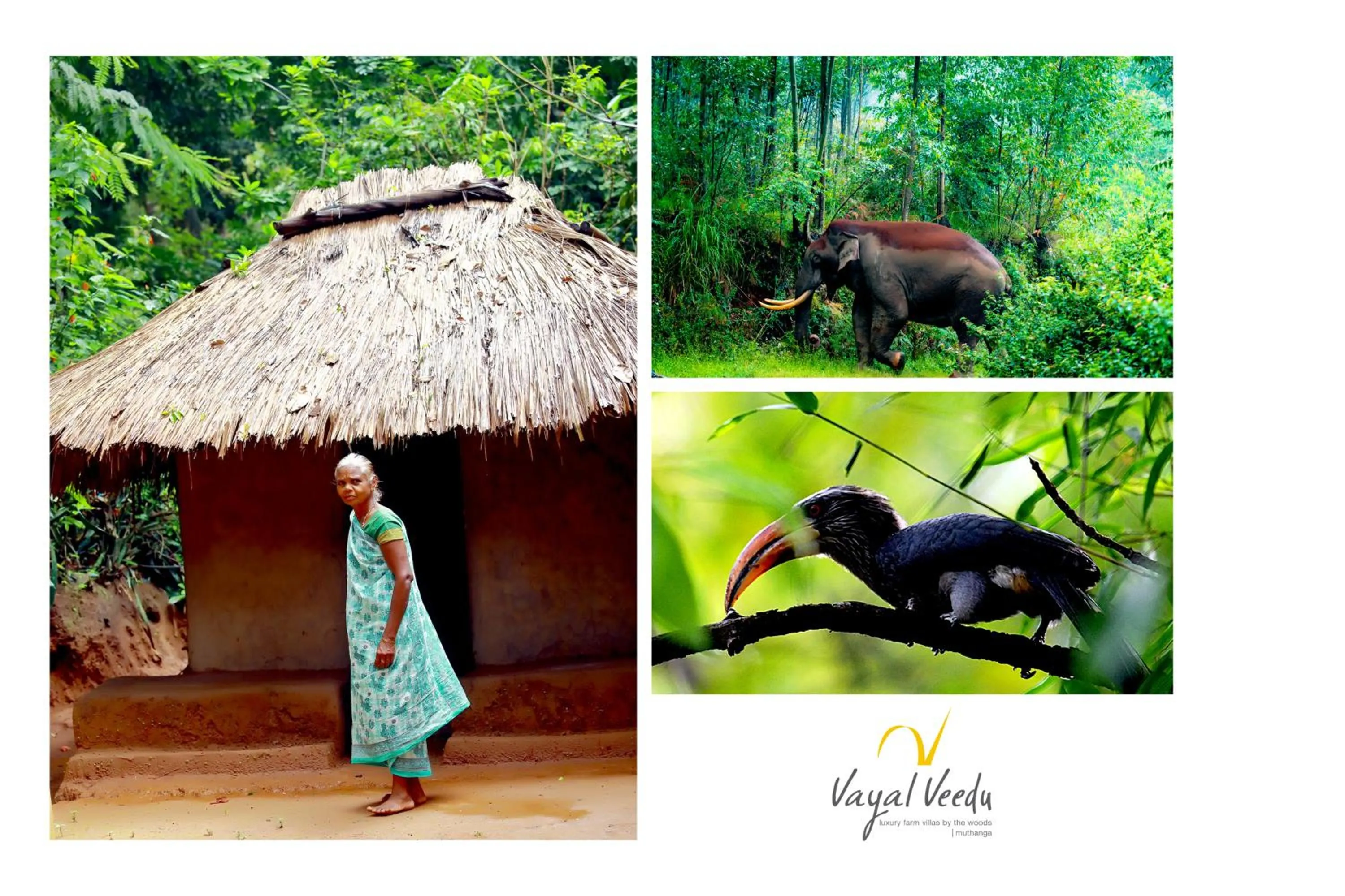 Property building in Vayal Veedu