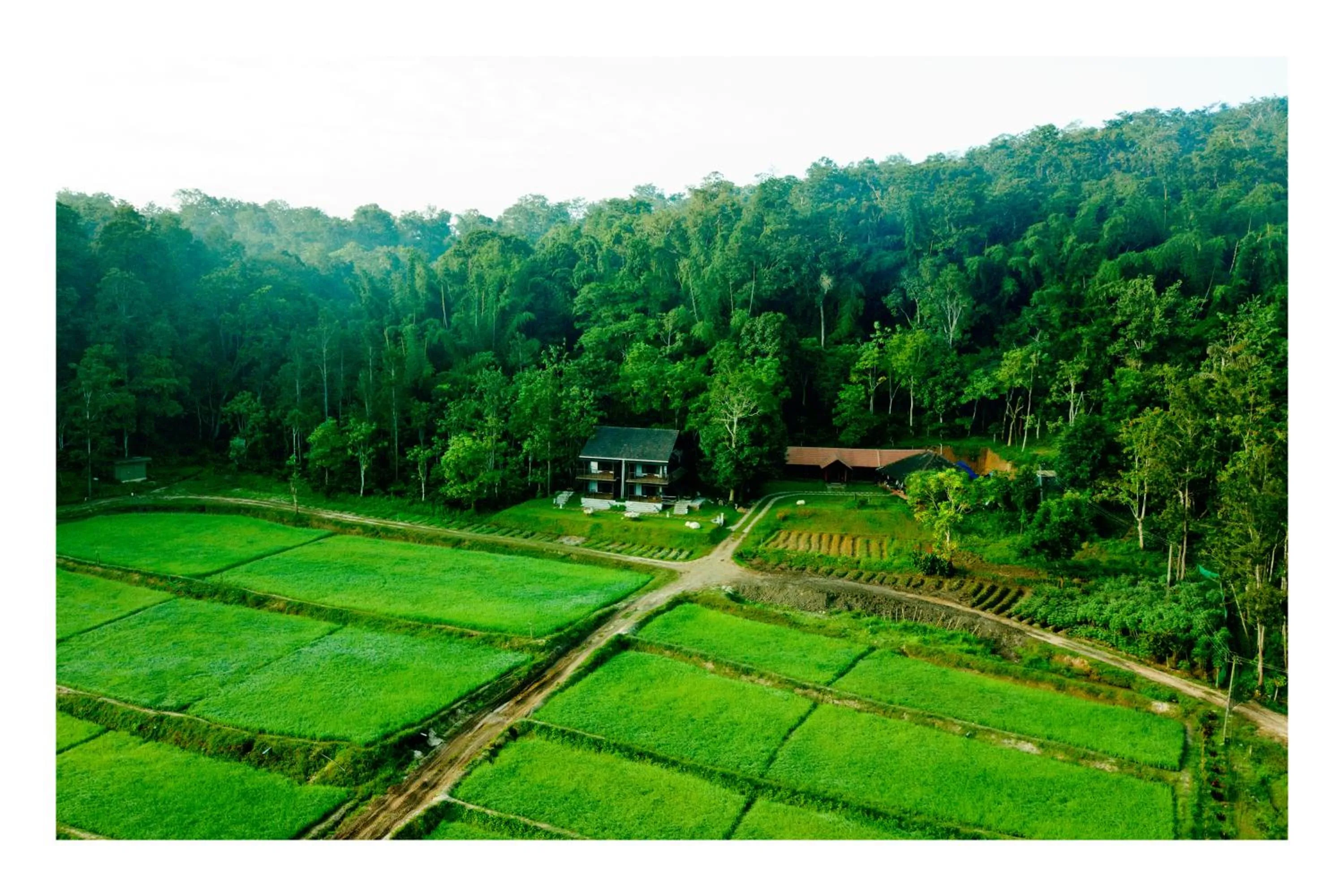 On site in Vayal Veedu