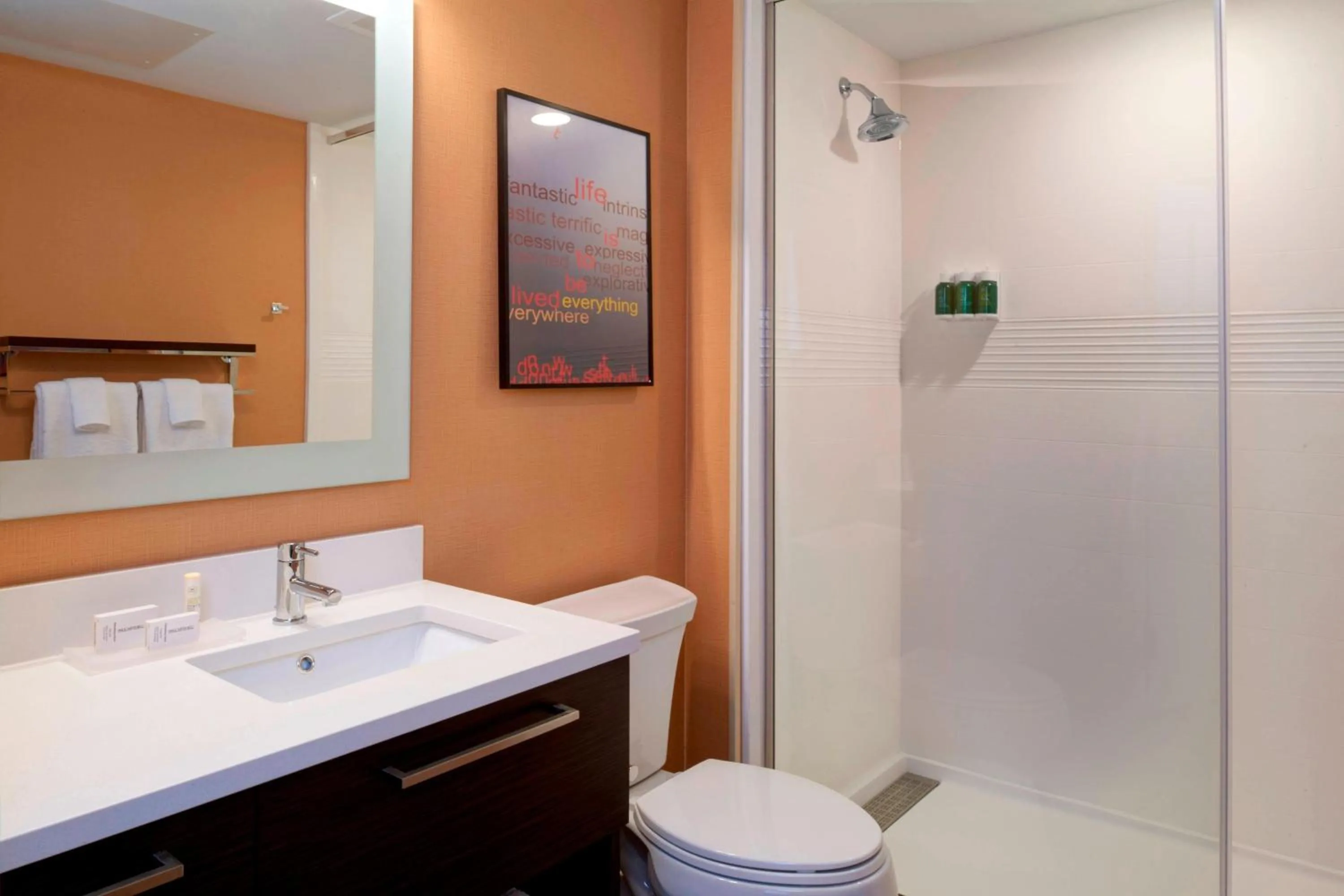 Bathroom in TownePlace Suites by Marriott Grand Rapids Airport