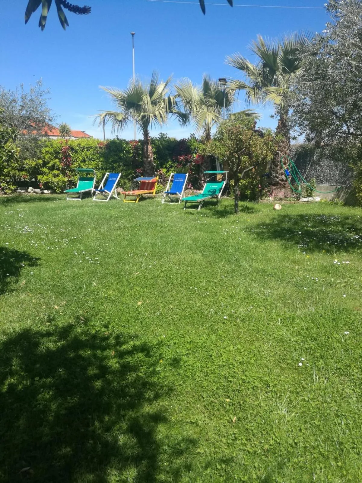 Garden in Le Magnolie B&B