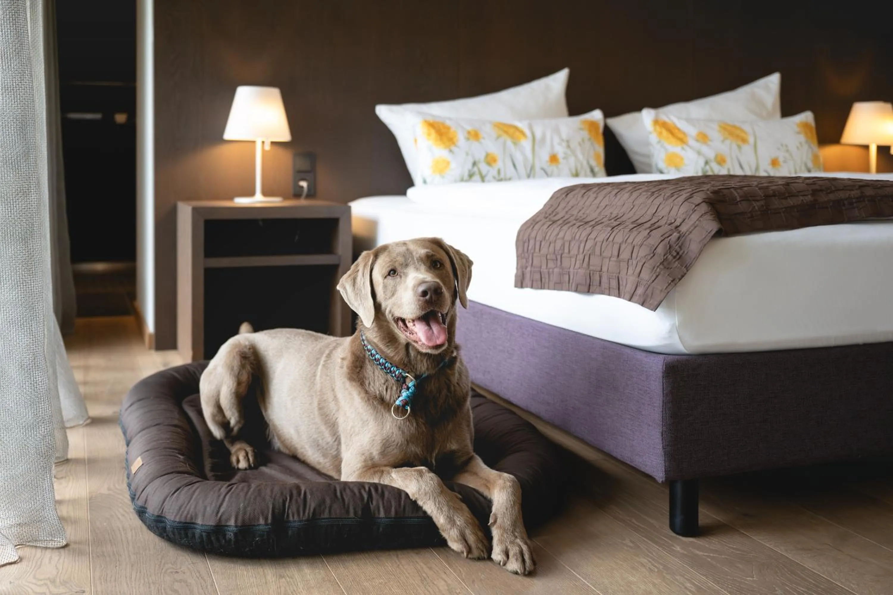 Pets, Bed in Golfhotel Gut Neuenhof
