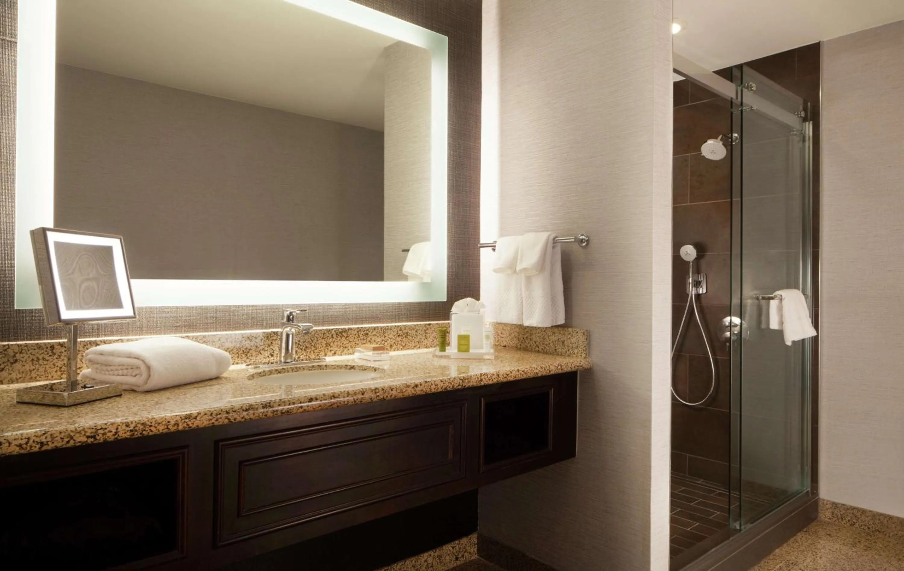 Bathroom in Hilton Fort Worth