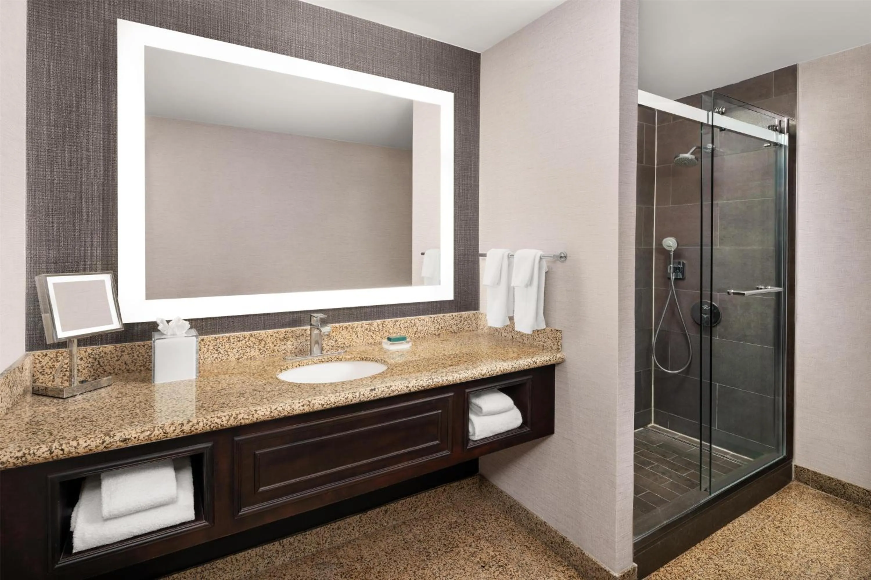 Bathroom in Hilton Fort Worth