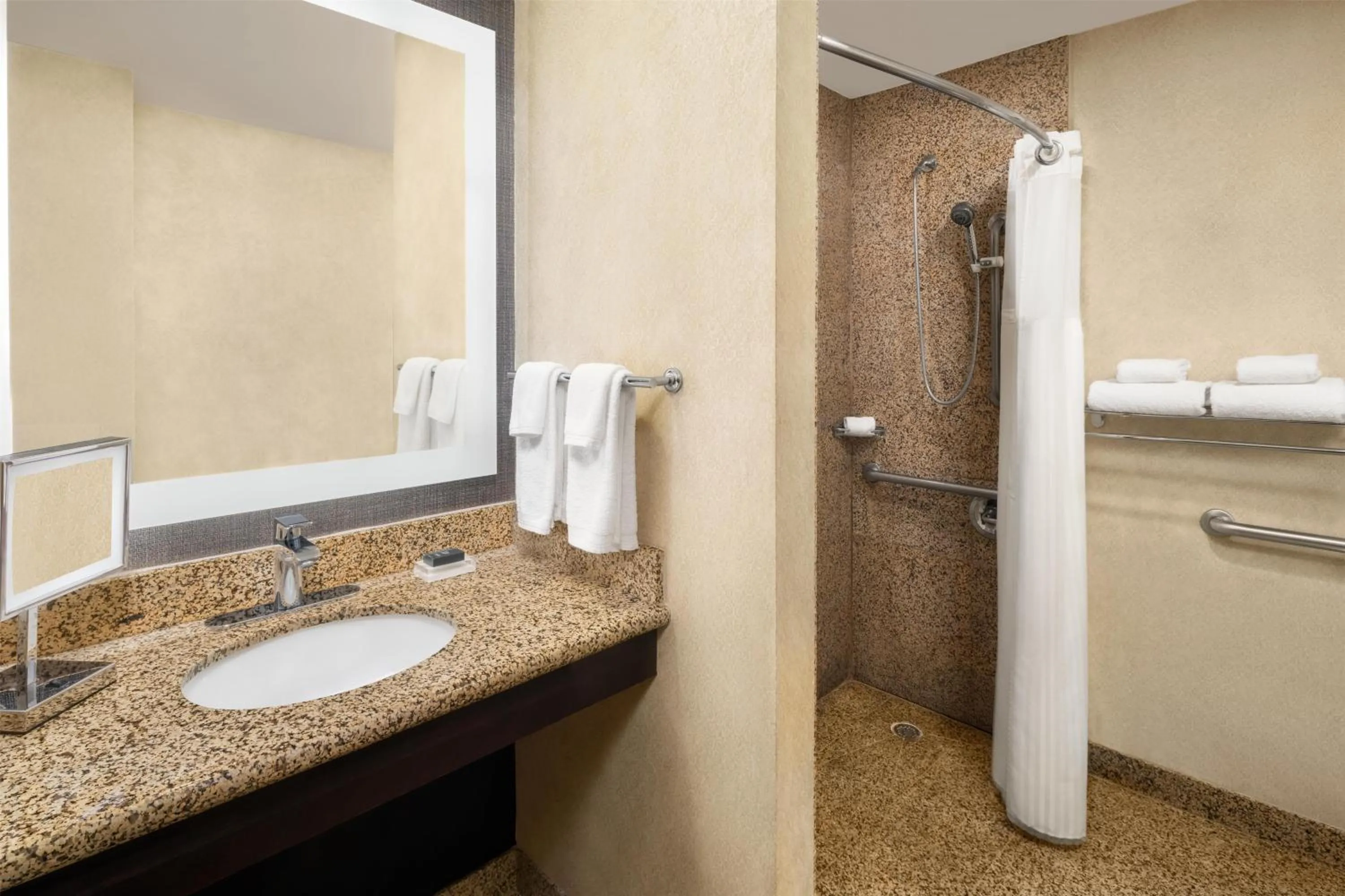 Bathroom in Hilton Fort Worth