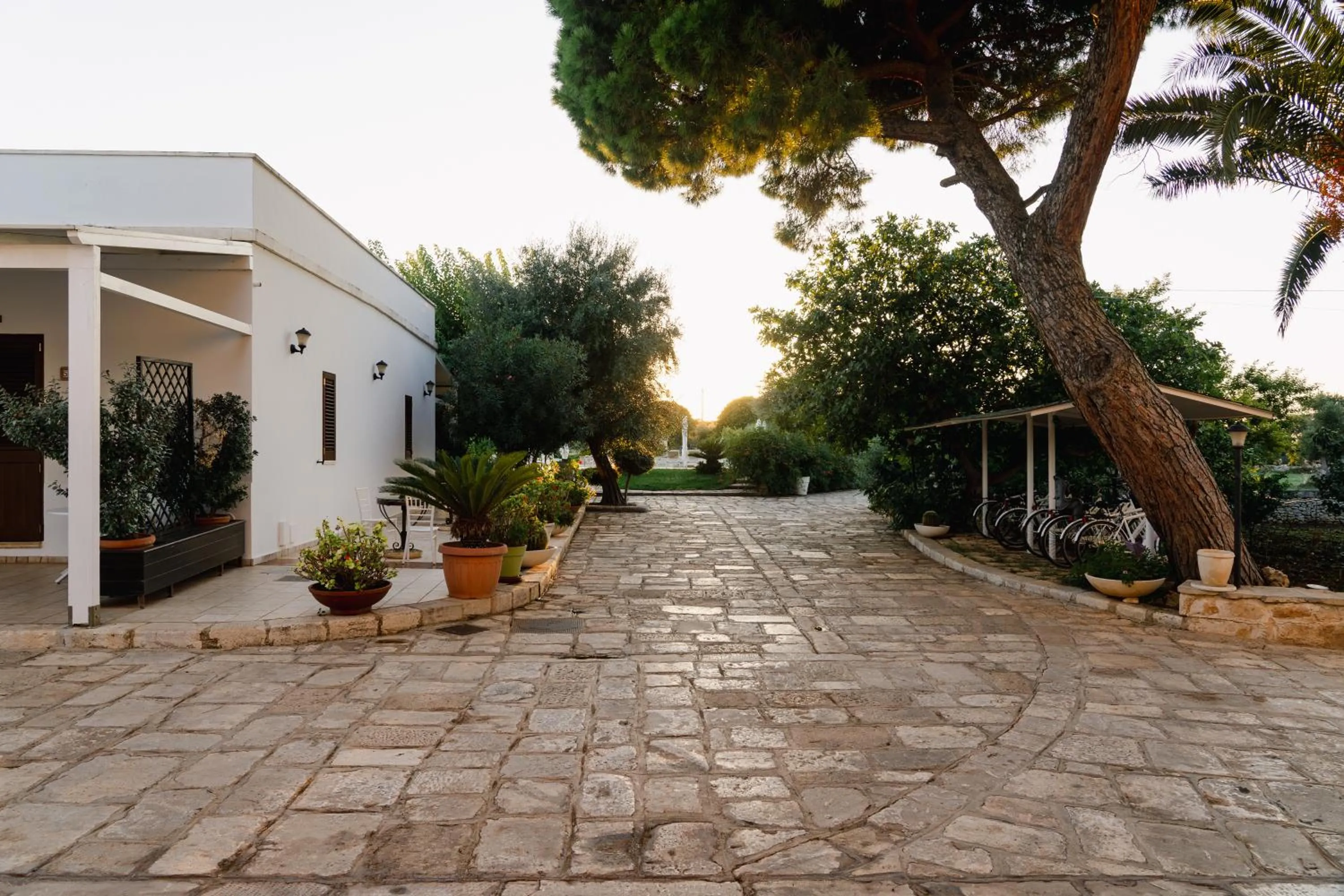Swimming pool in Masseria Valente