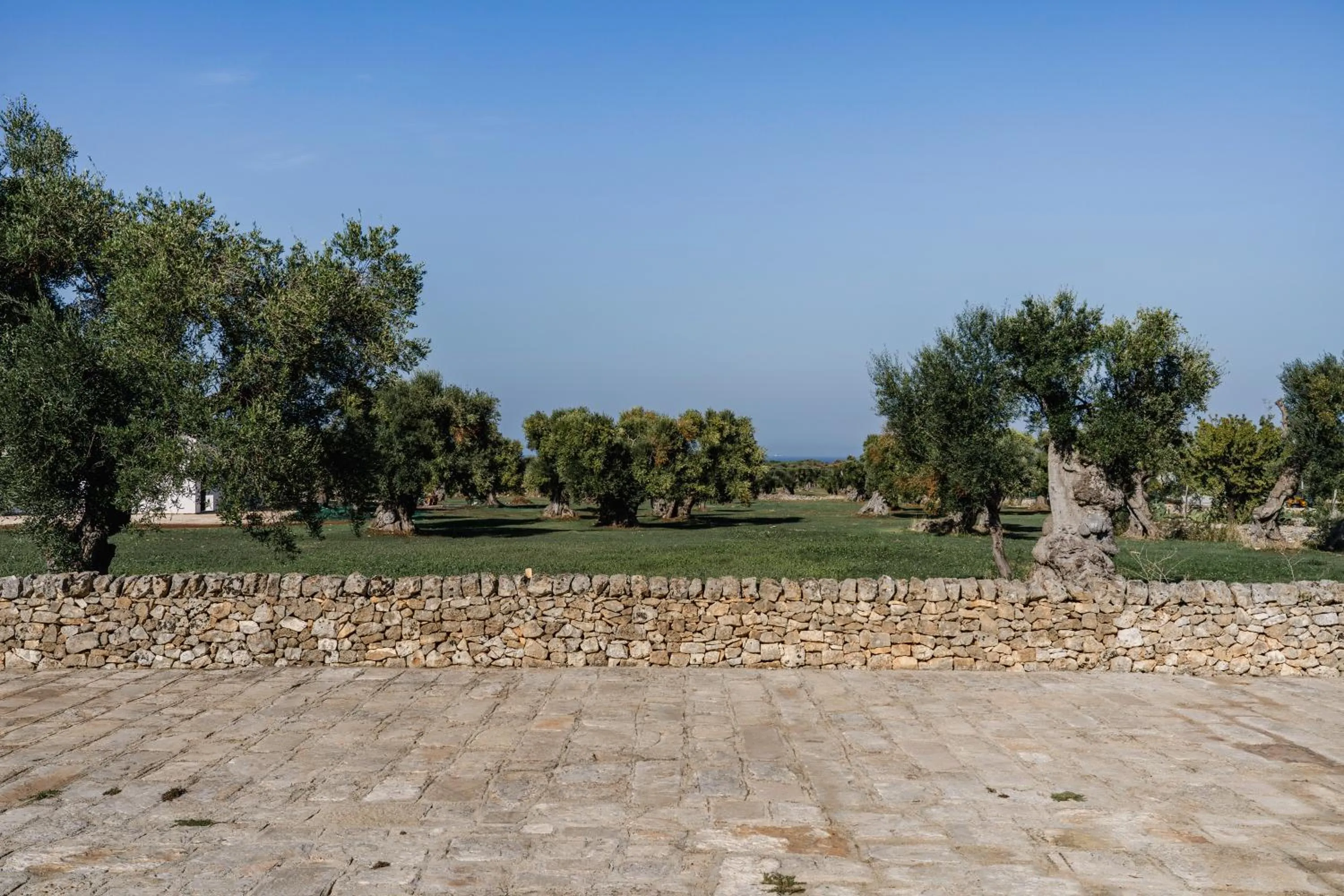 Hiking in Masseria Valente