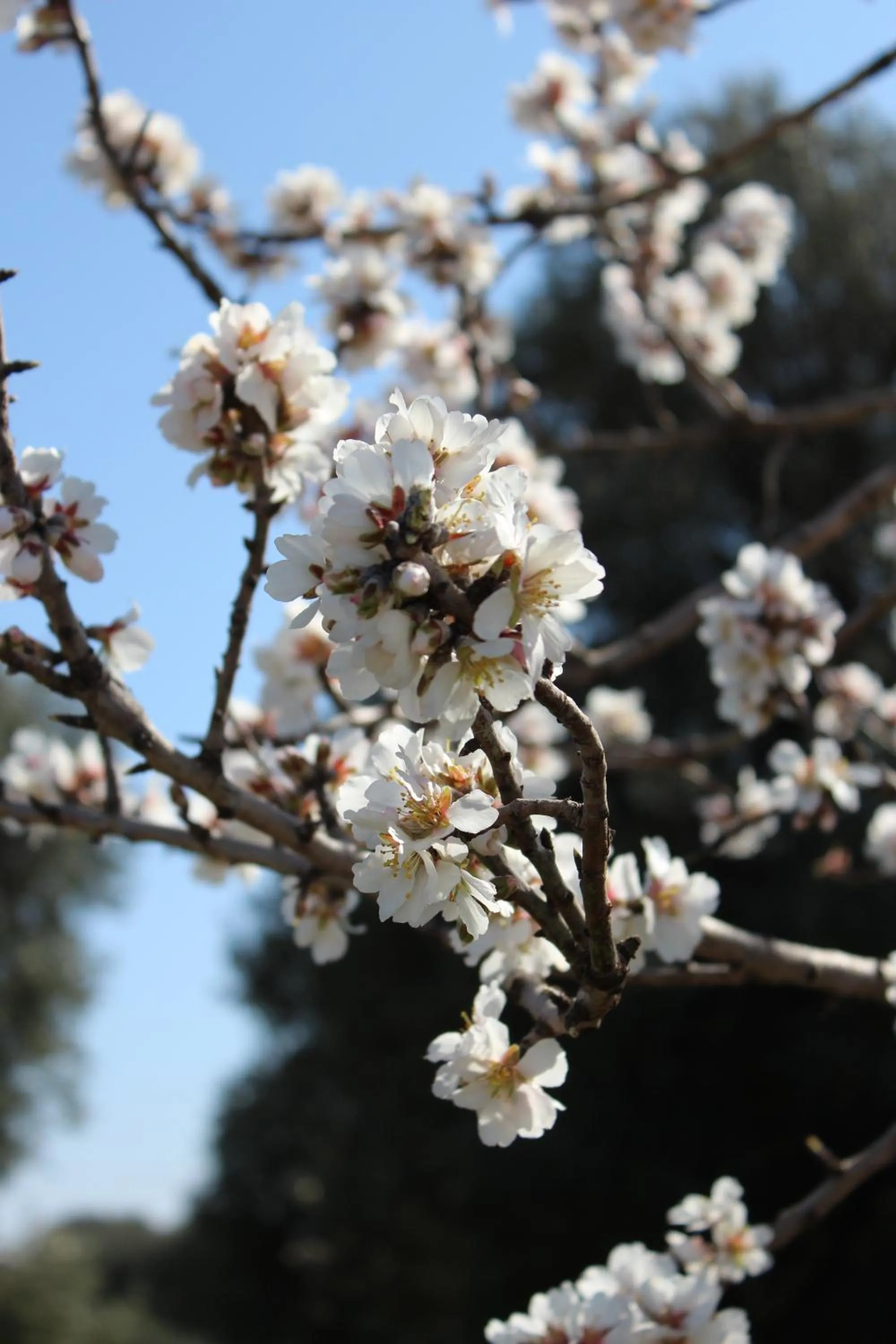 Facade/entrance in Masseria Valente