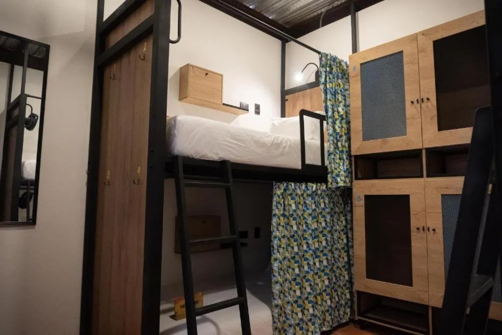 bunk bed, Bed in Los Patios Hostel