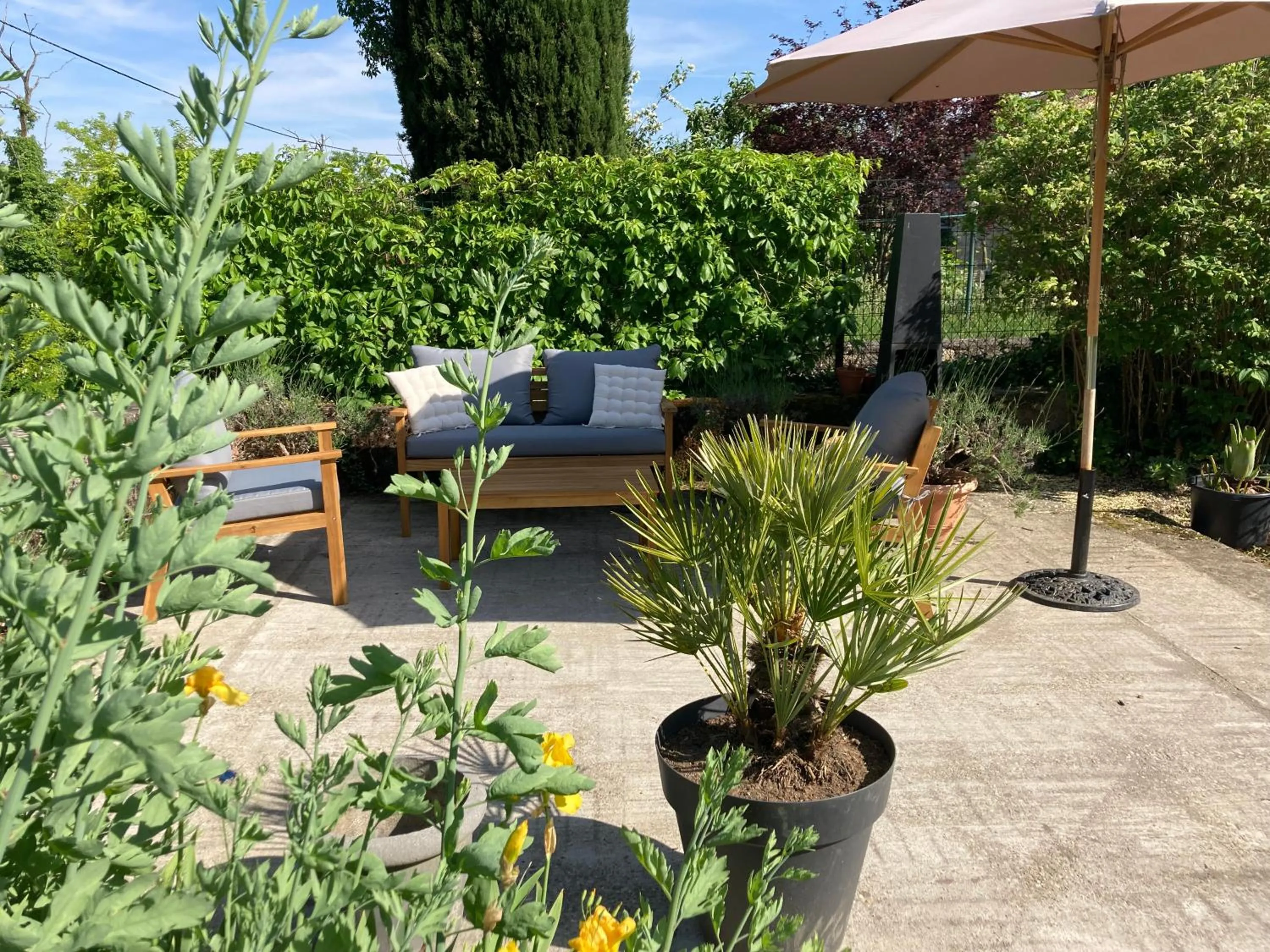 Garden in Le Petit Cochon