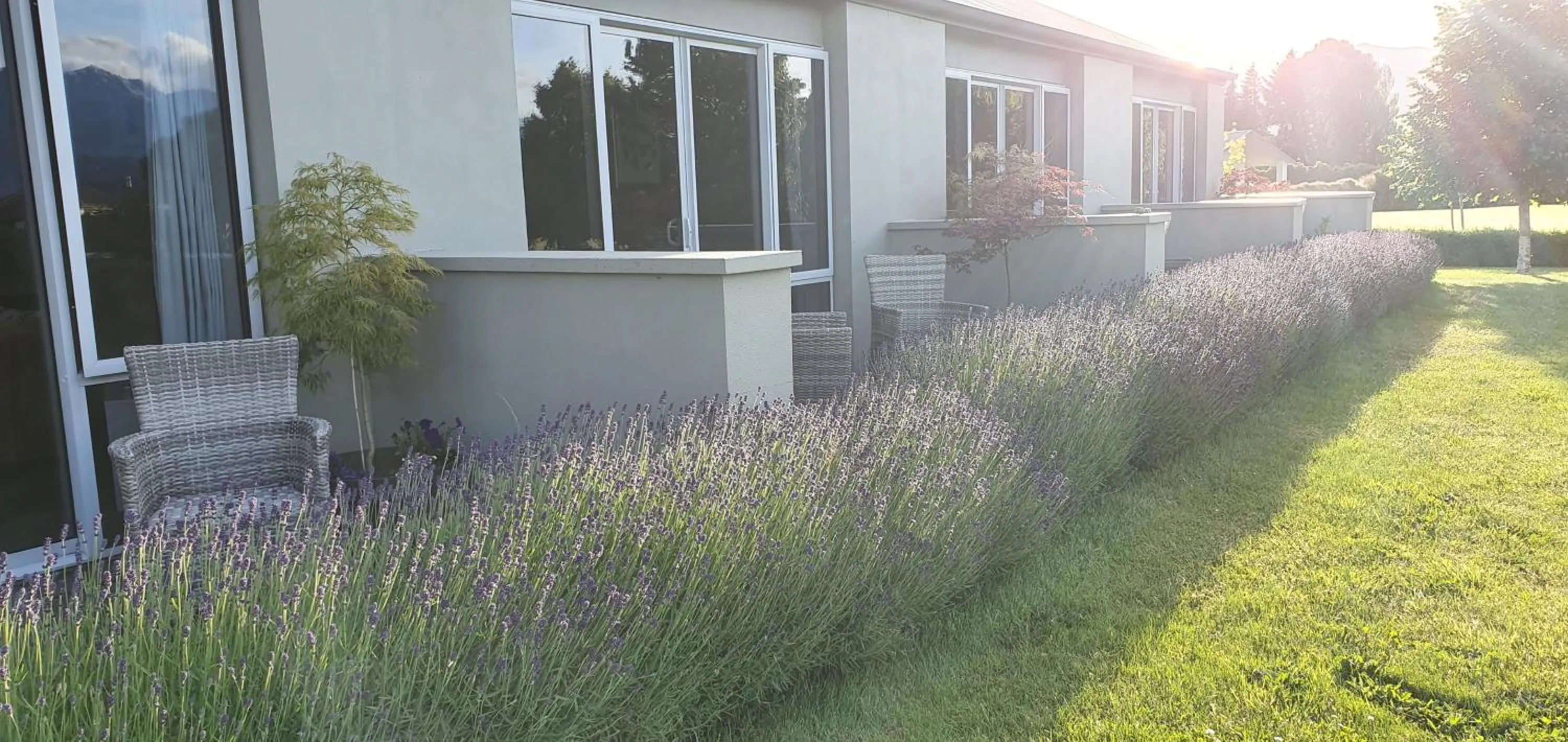 Dunluce Boutique B&B