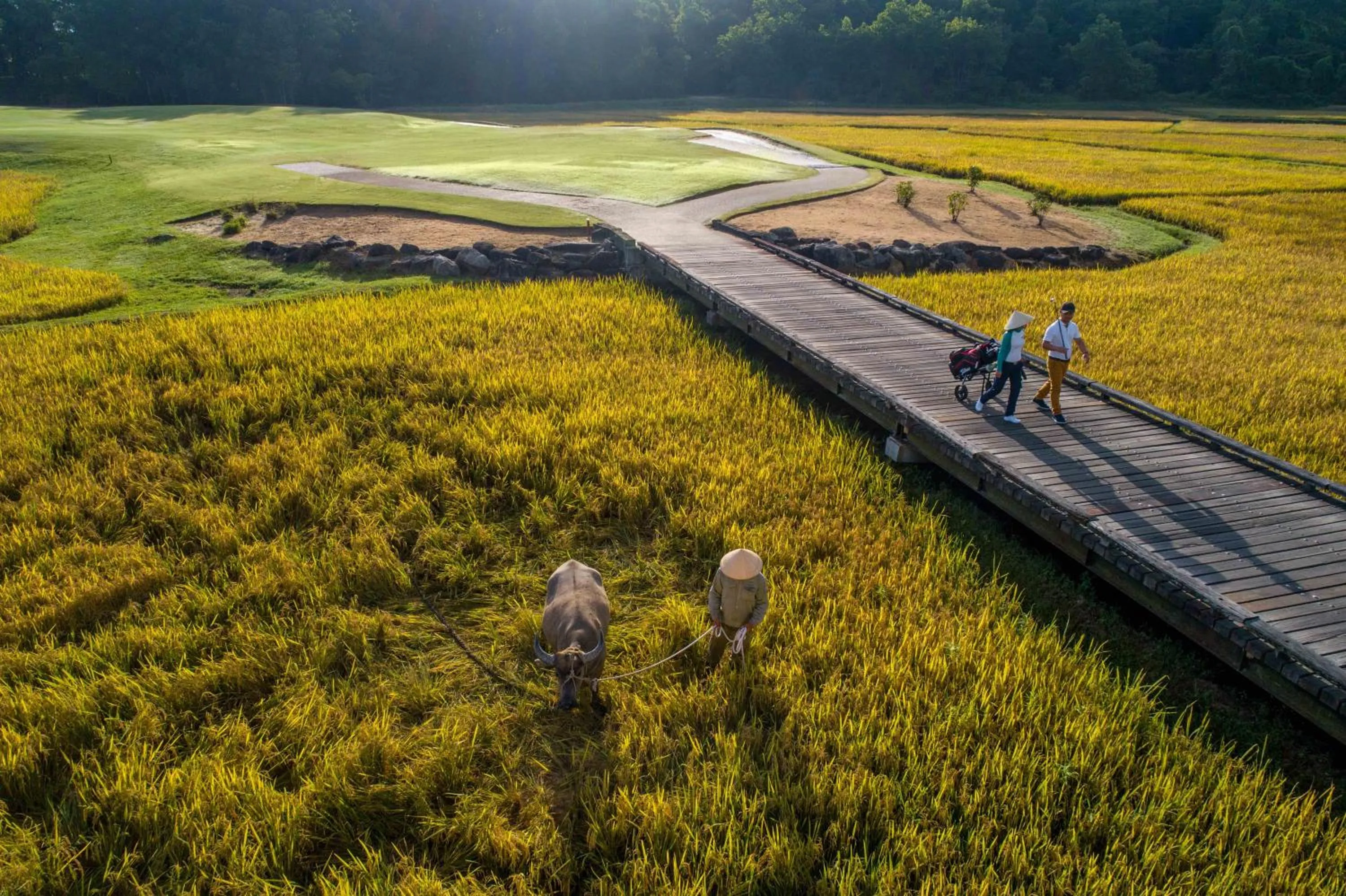 Day in Angsana Lang Co