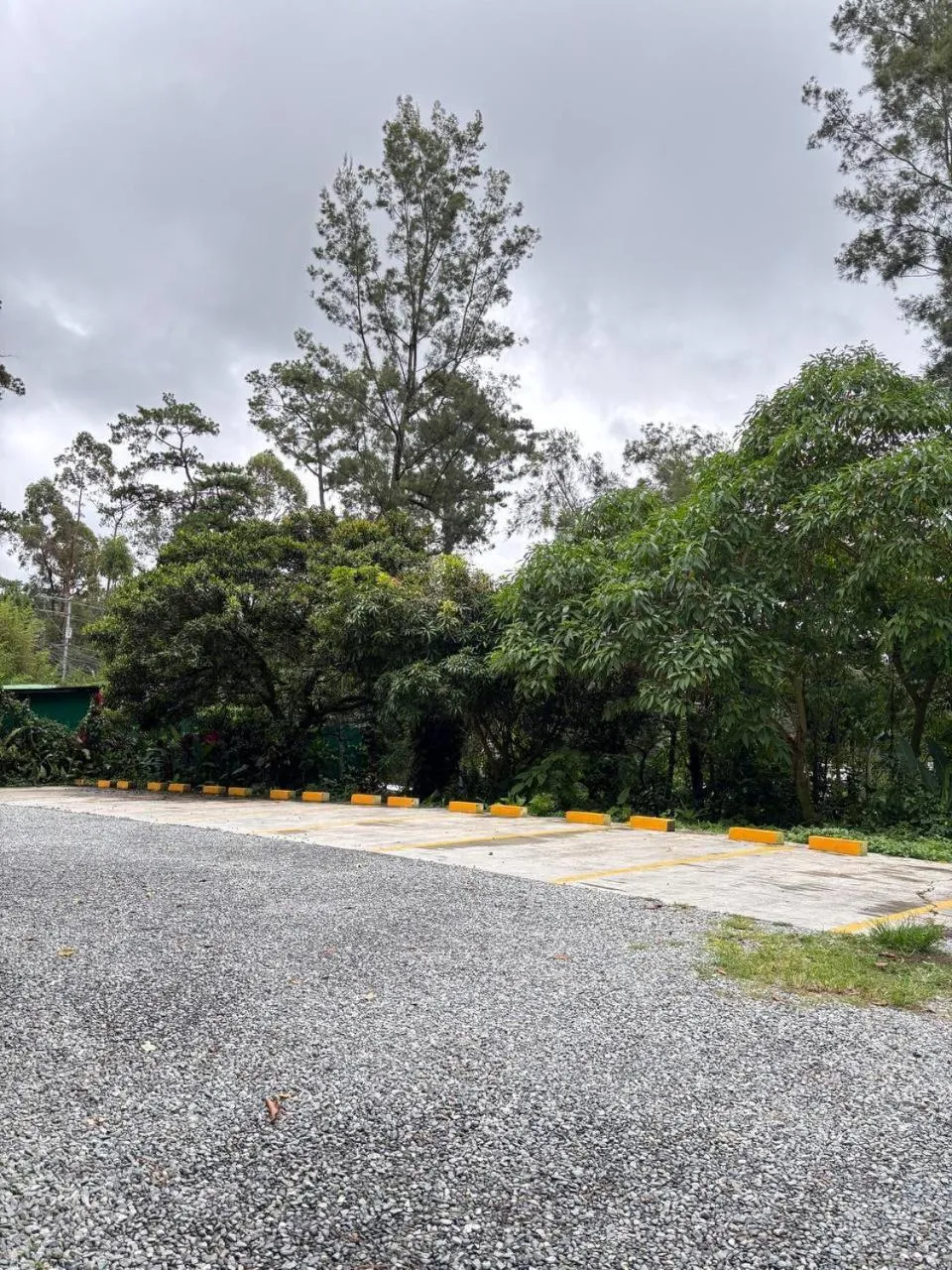 Parking in Log Cabin Hotel - Baguio