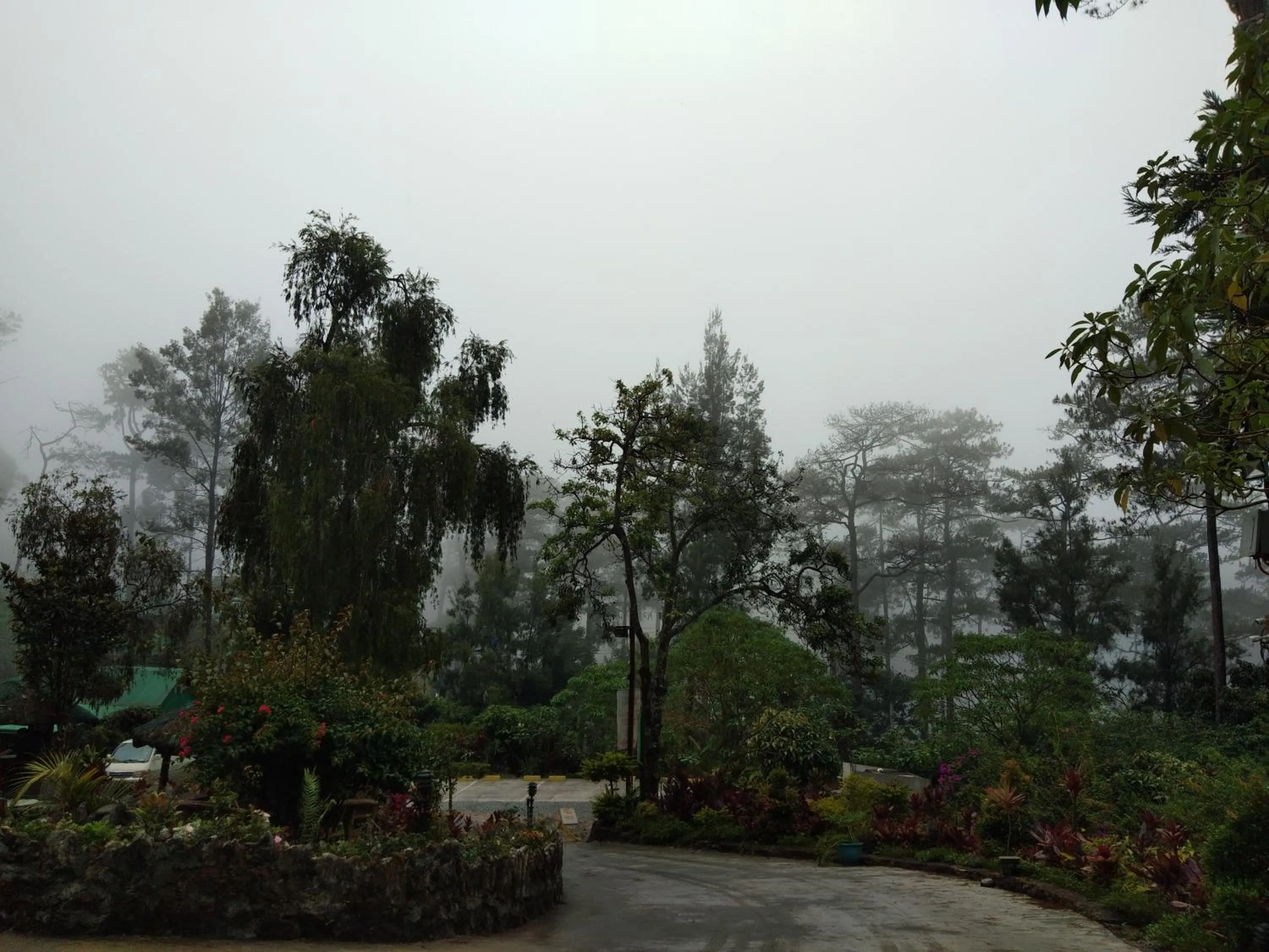 Garden in Log Cabin Hotel - Baguio