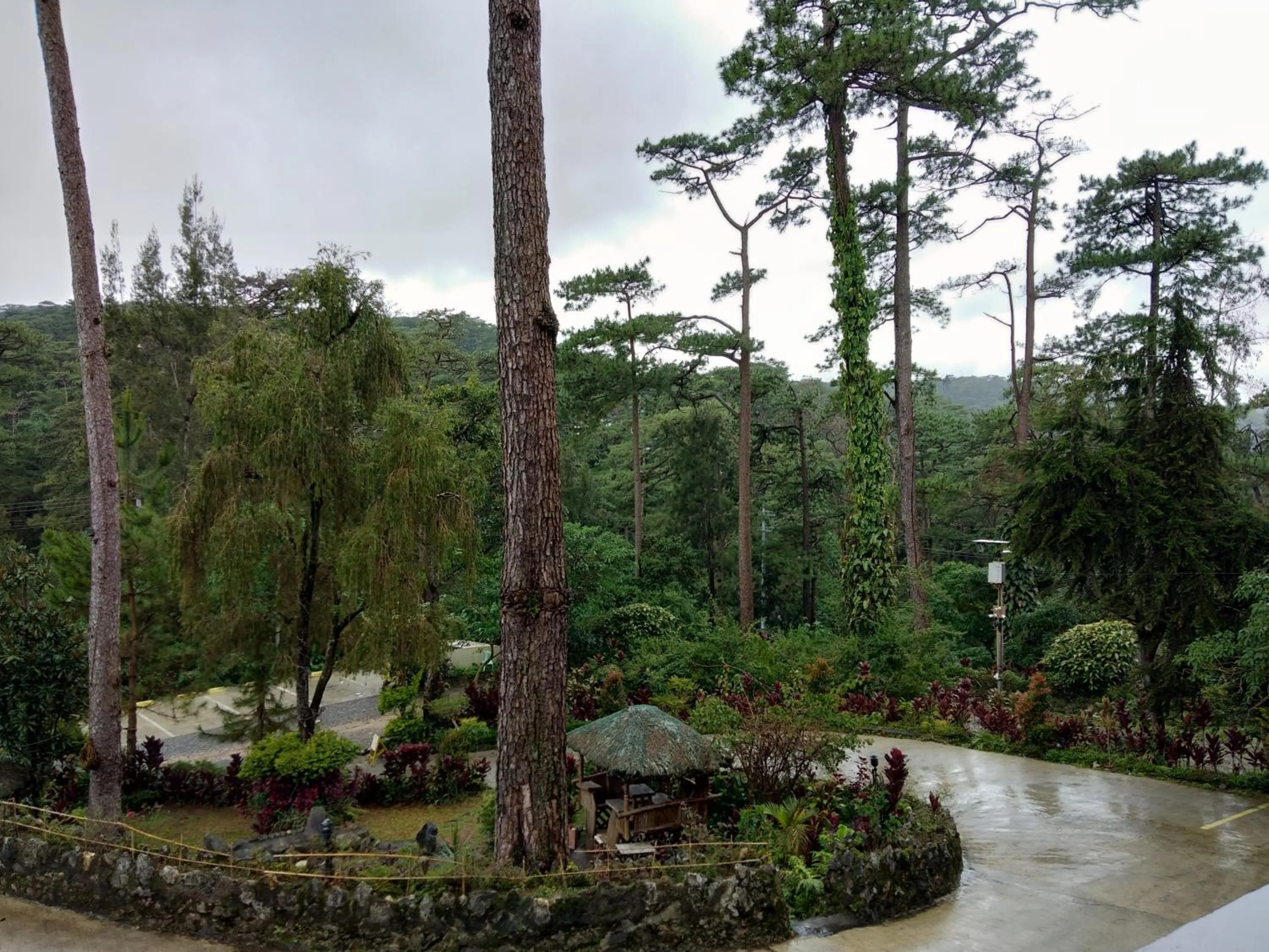 Garden in Log Cabin Hotel - Baguio