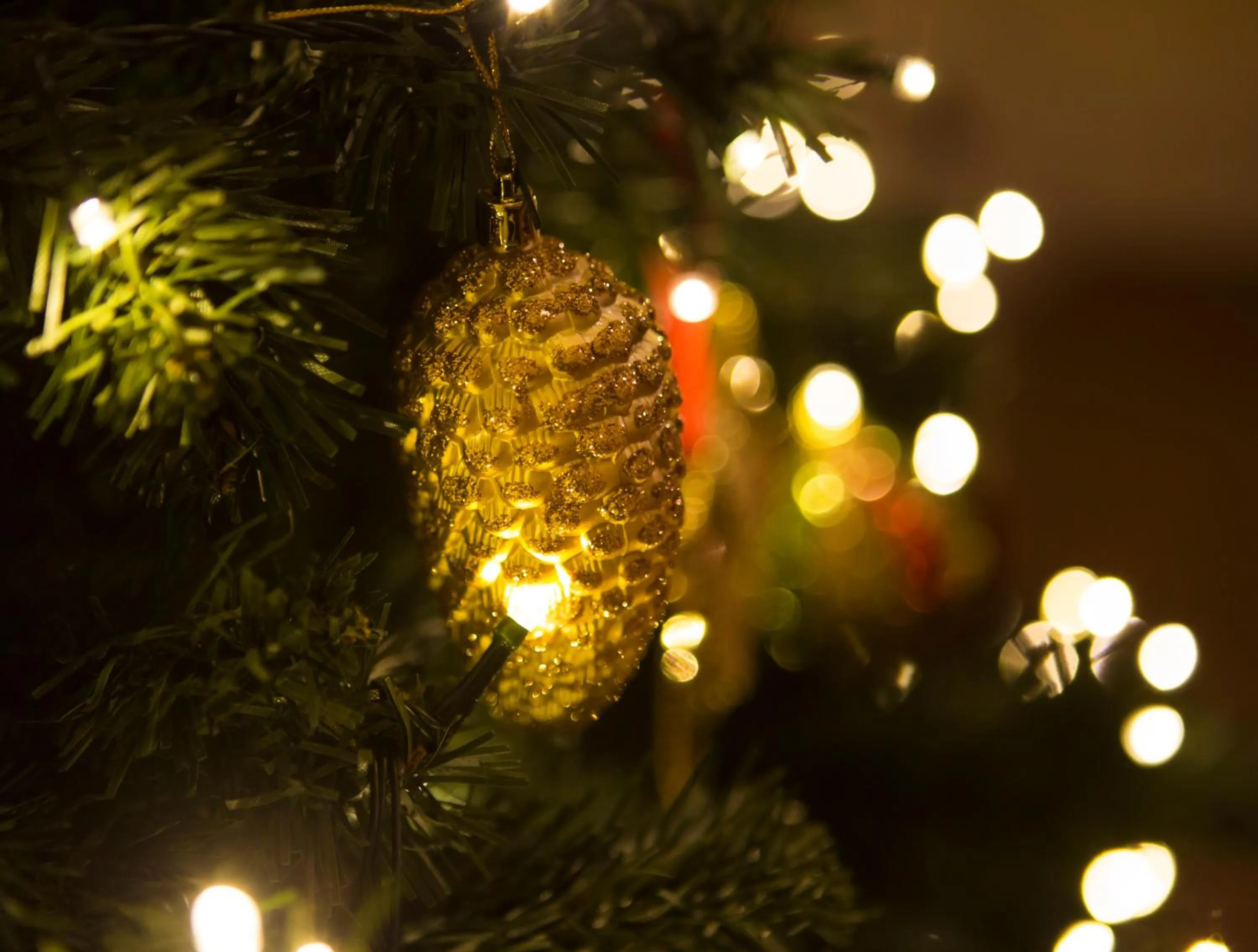 The Inn at Fossebridge