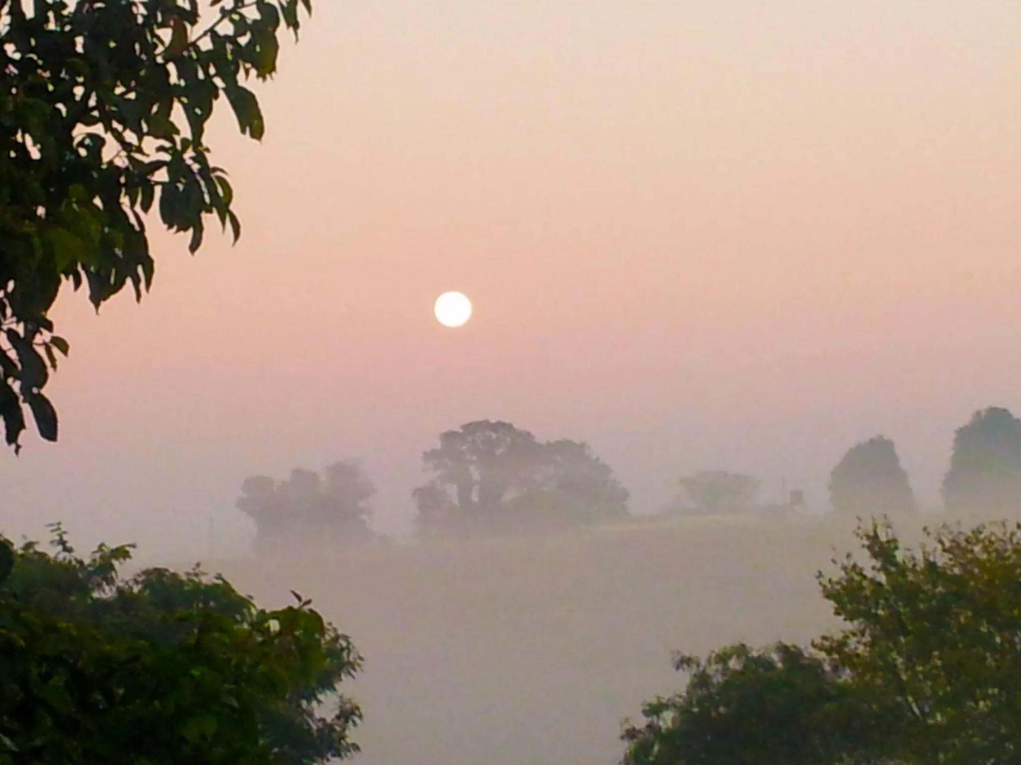 Area and facilities in Thaba Tsweni Lodge & Safaris