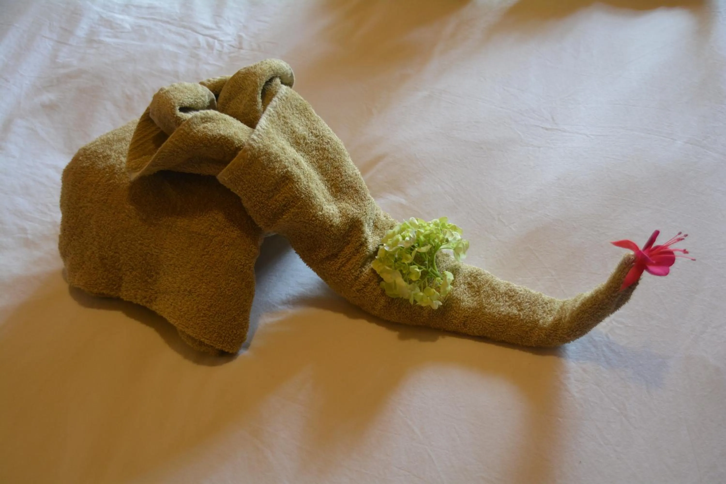 Bed in Thaba Tsweni Lodge & Safaris