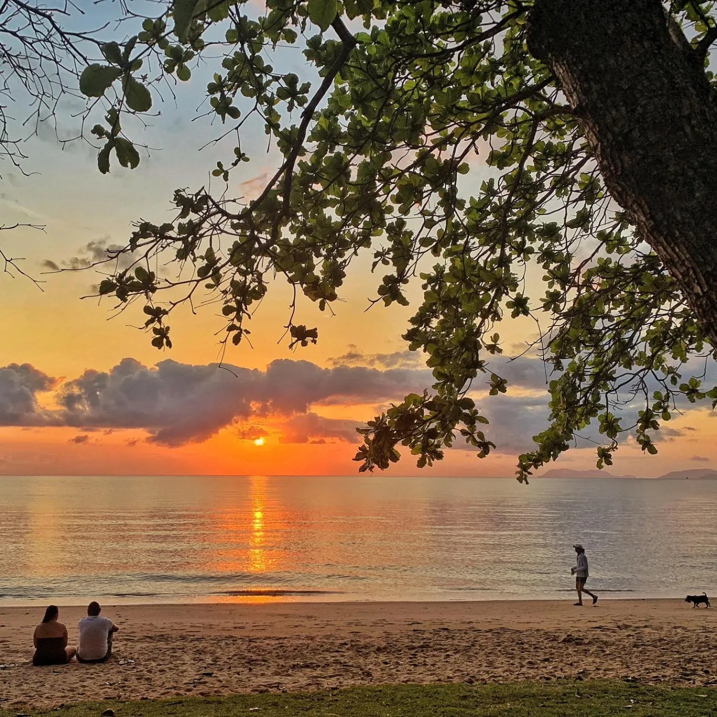 Beach in The Reef Retreat Palm Cove