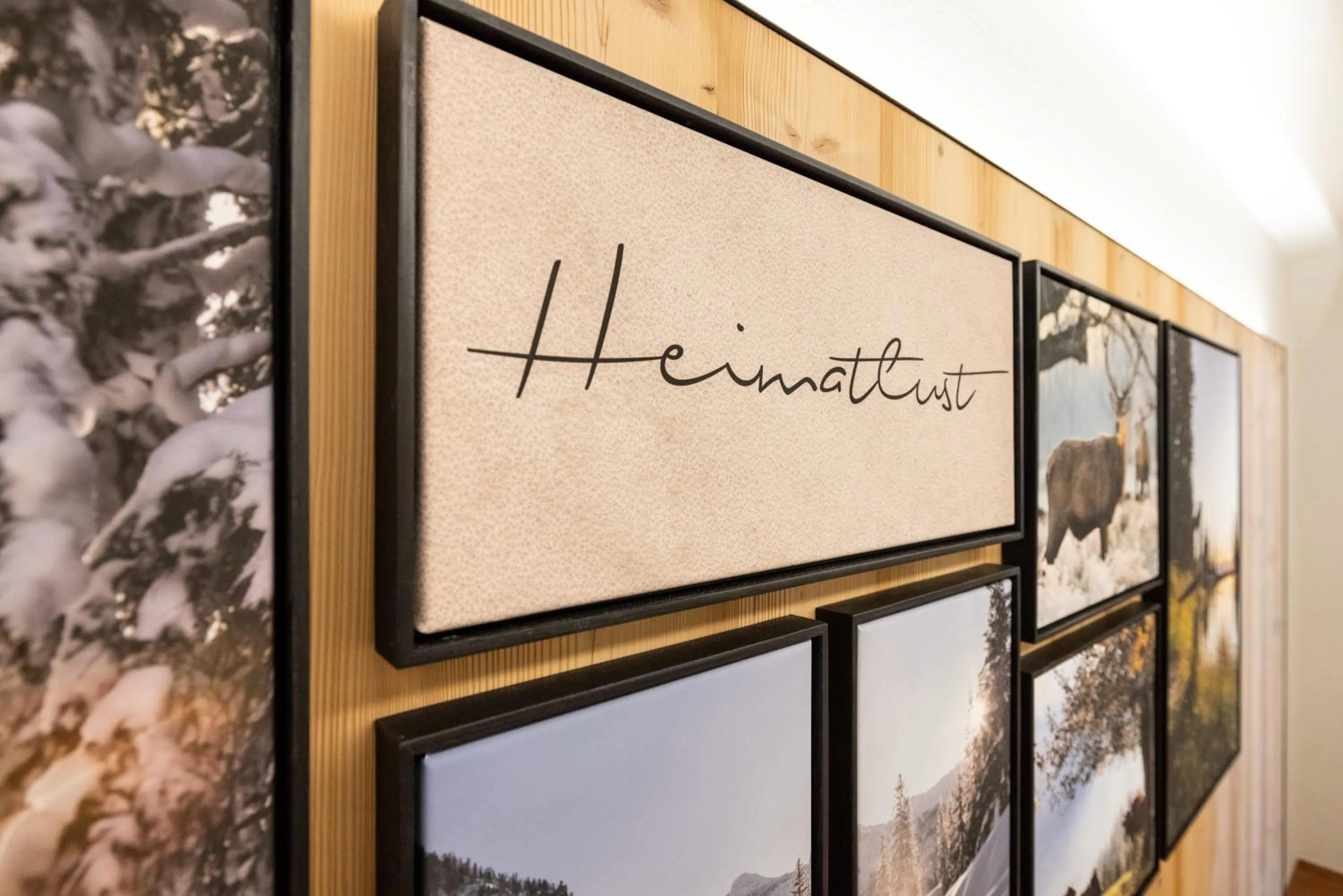 Other in Aparthotel Jägerheim