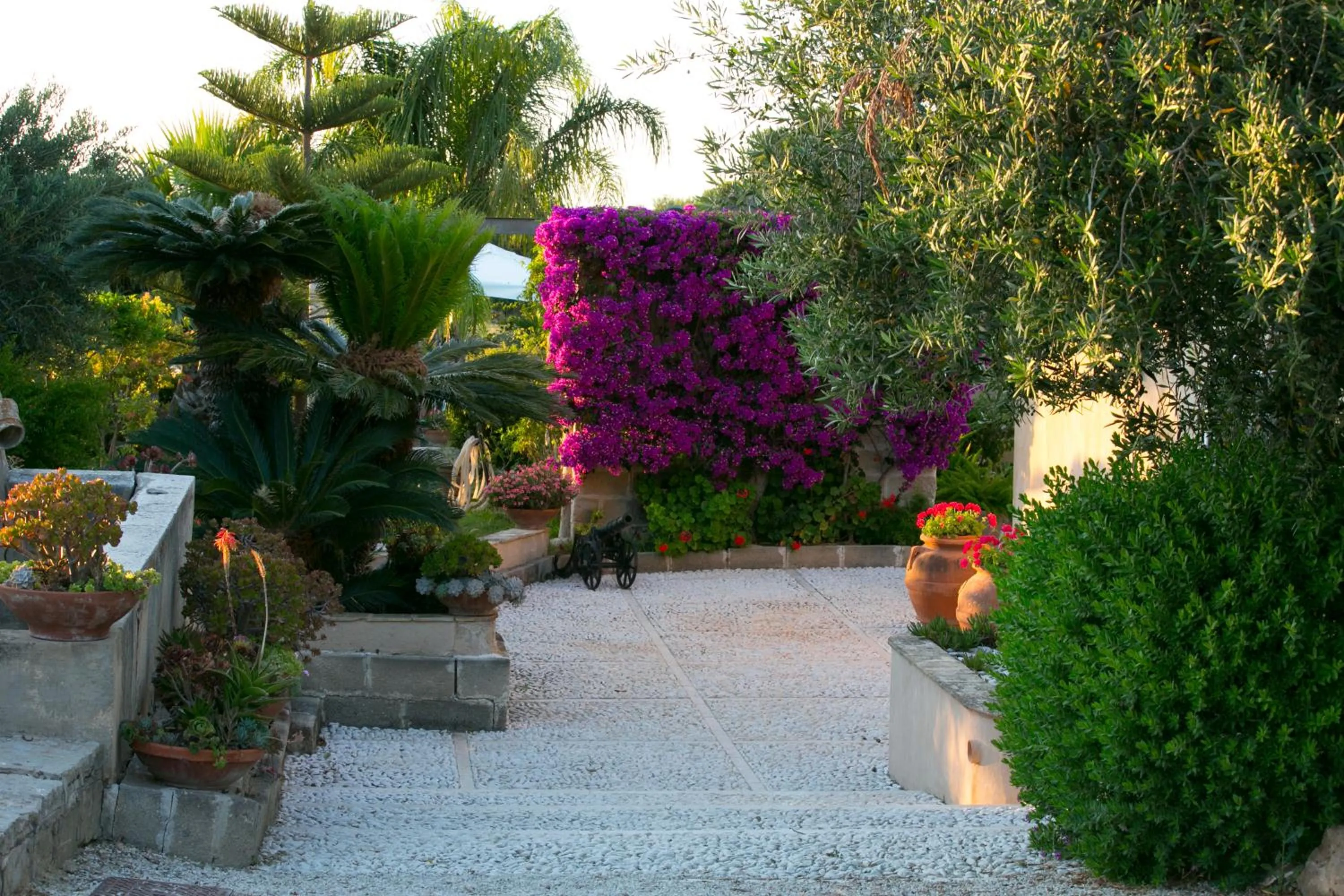 Garden in Baglio Sant'Andrea