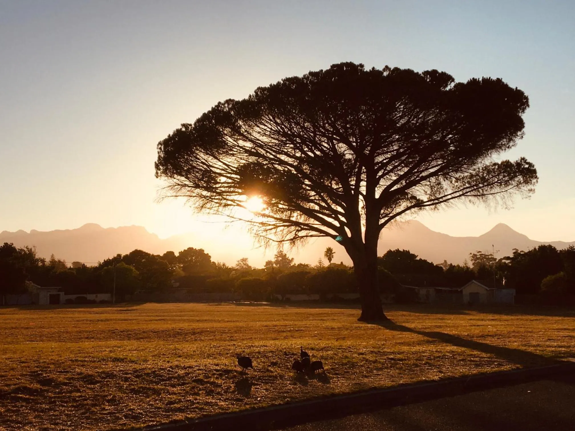 Natural landscape in Khashamongo B & B