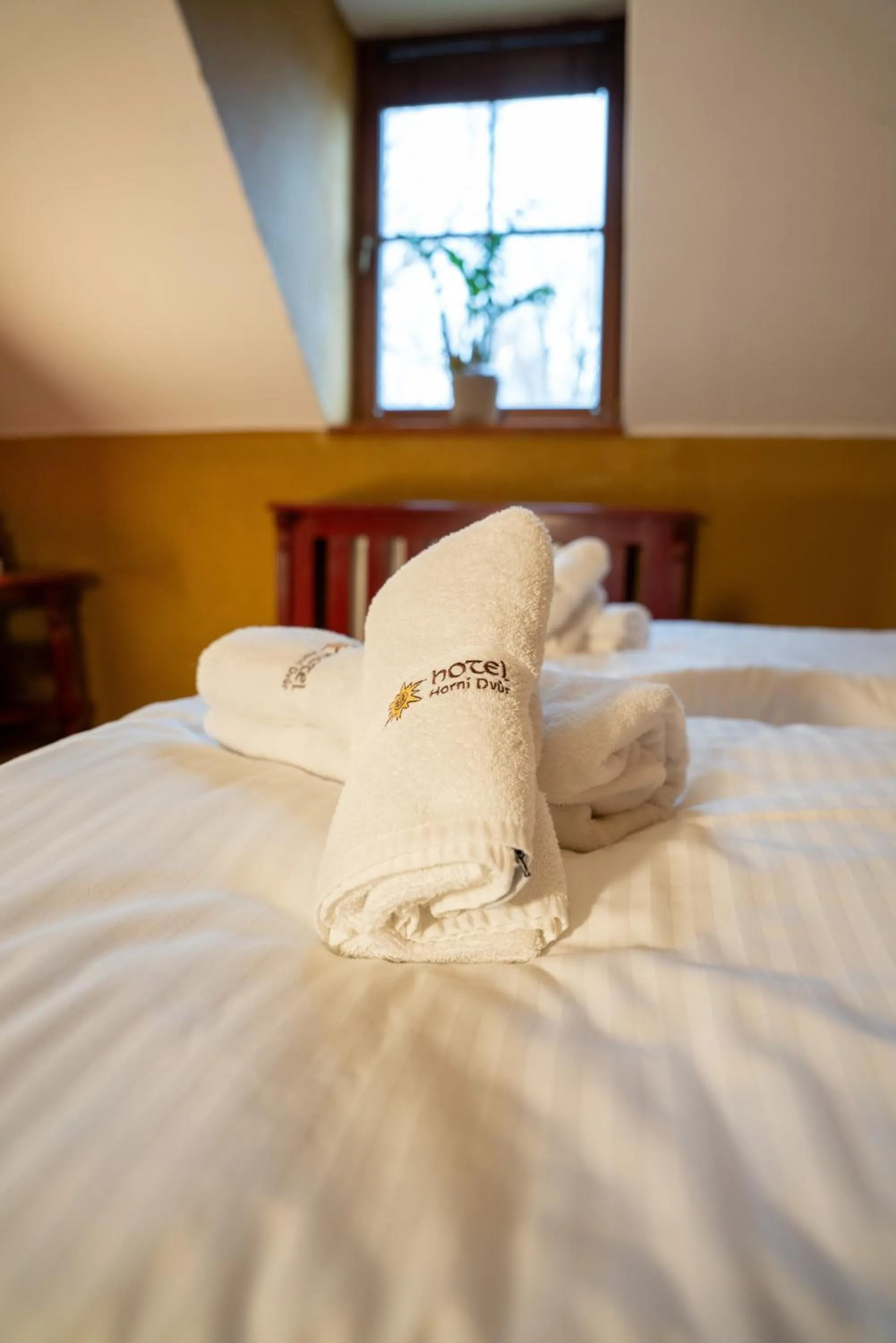 Bed in Hotel Horní Dvůr