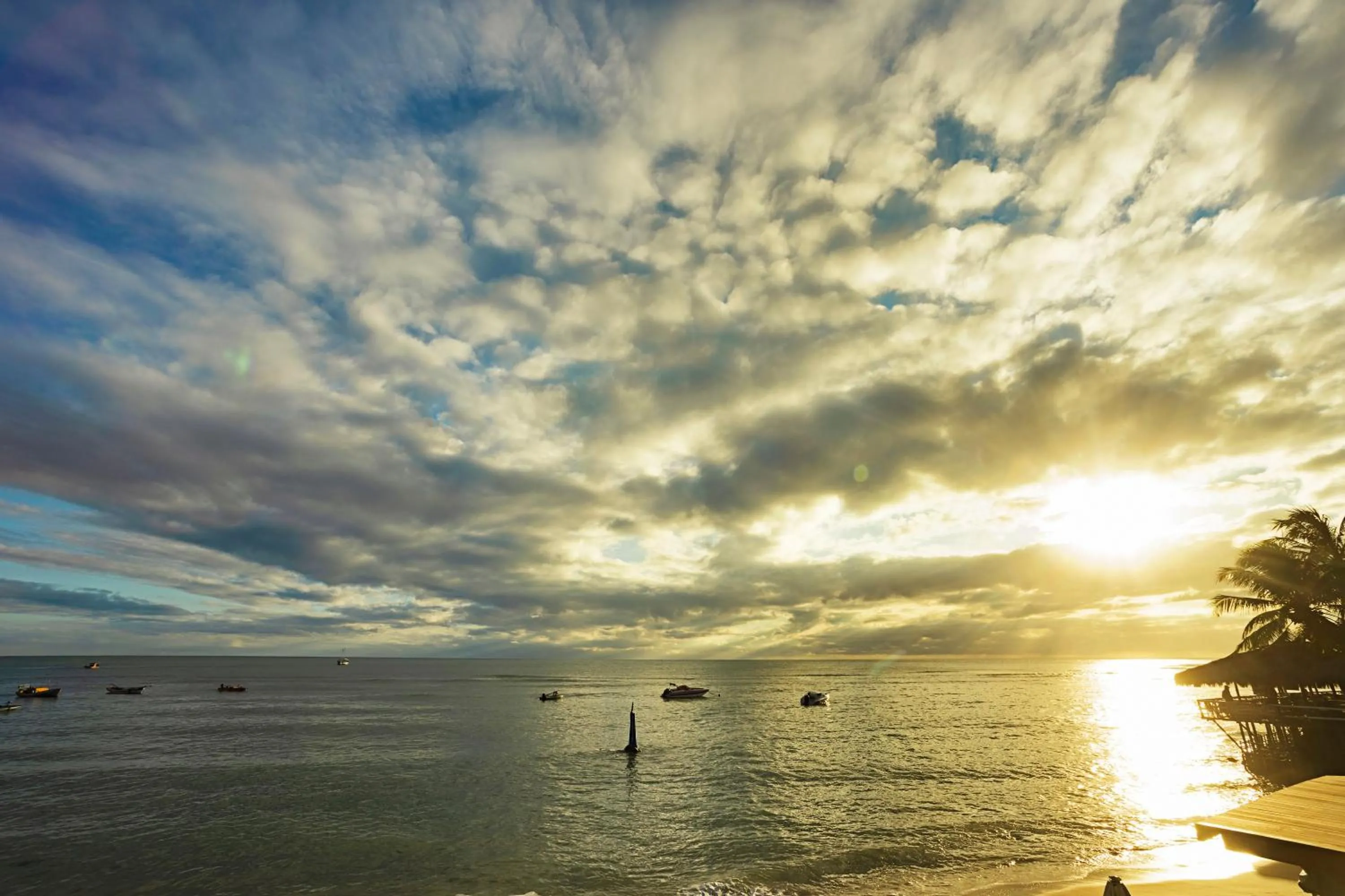 Natural landscape in Boutique Hotel Marlin's