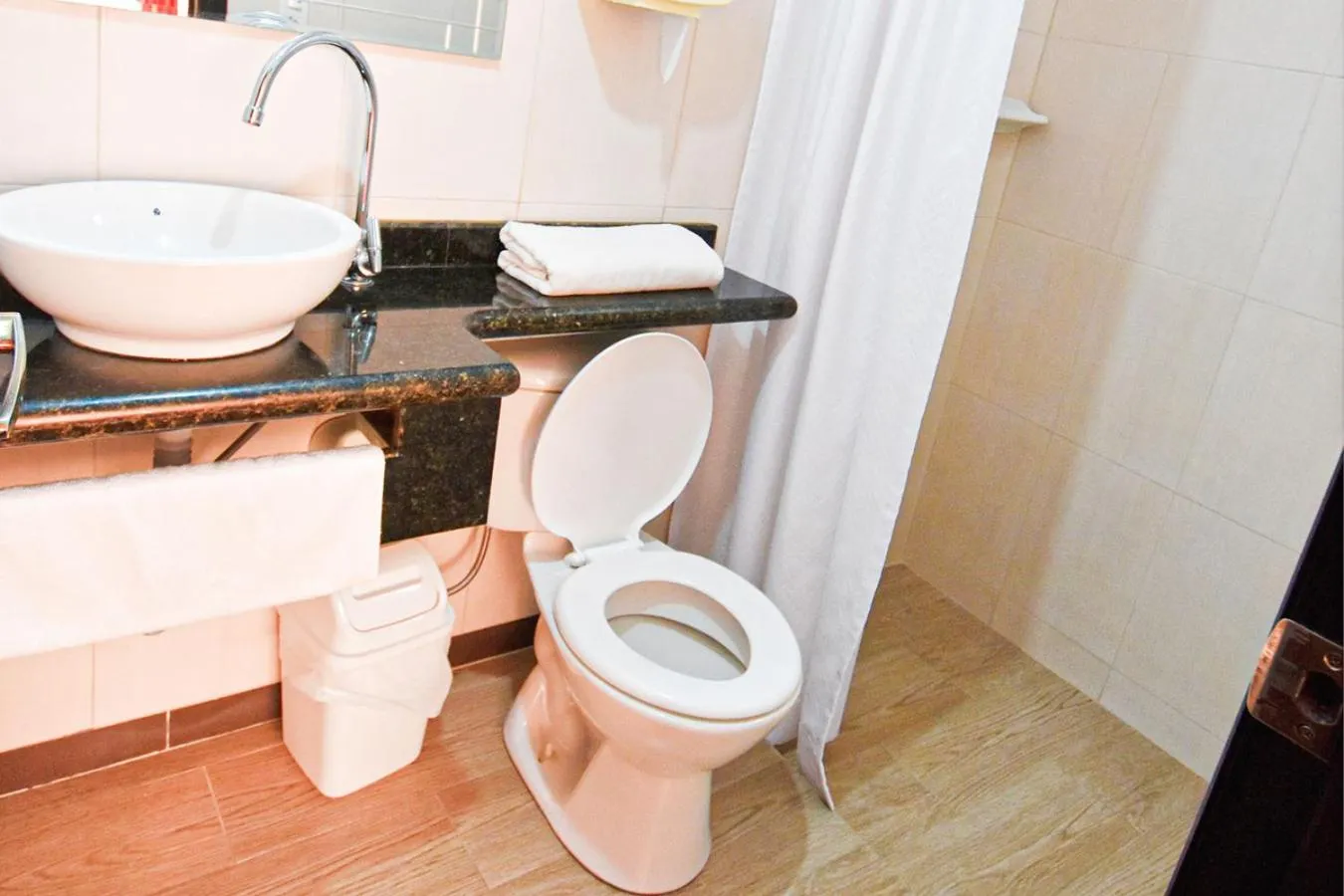 Bathroom in Hotel Plaza Victoria