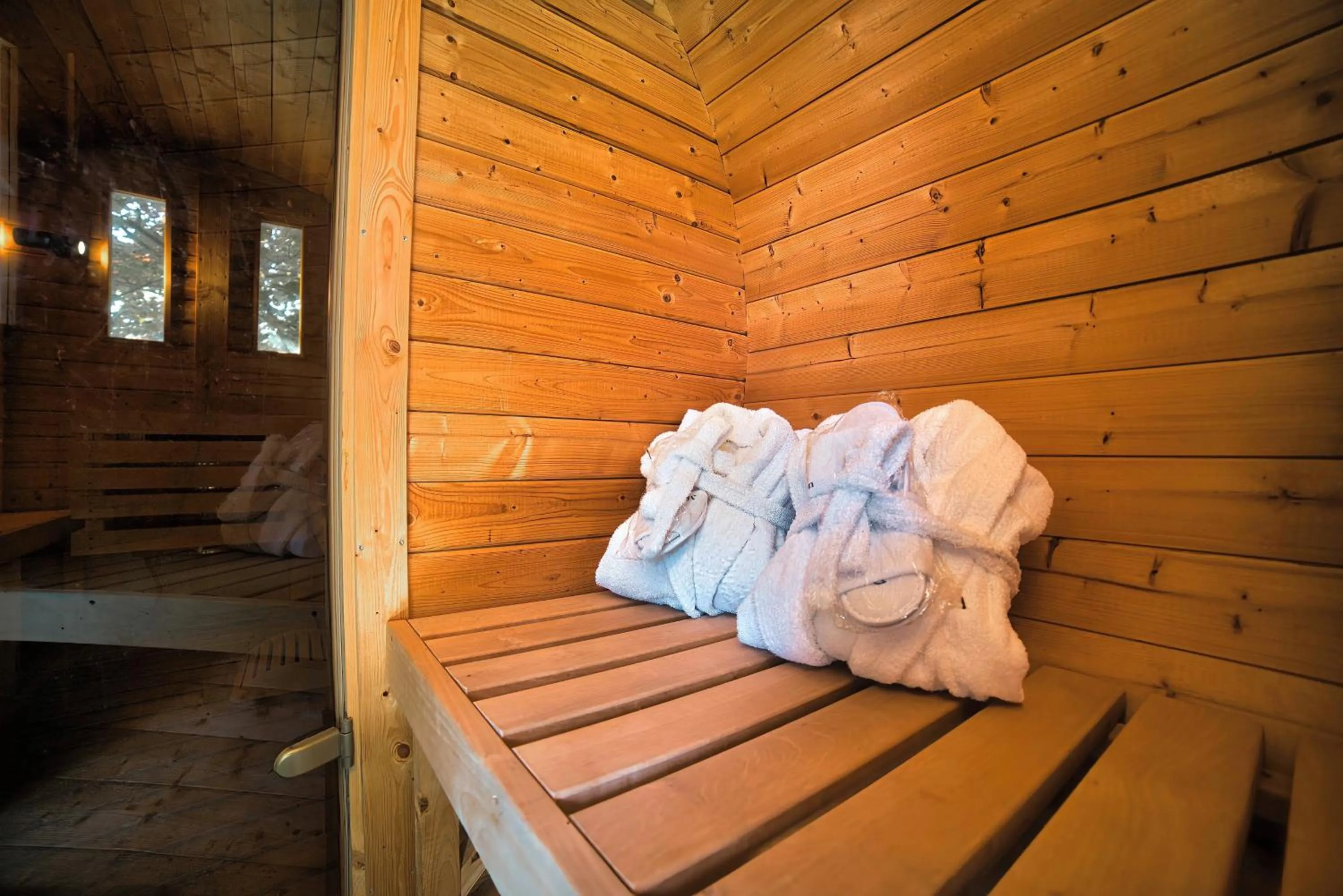 Sauna in Kyriad Prestige Mulhouse - Basel