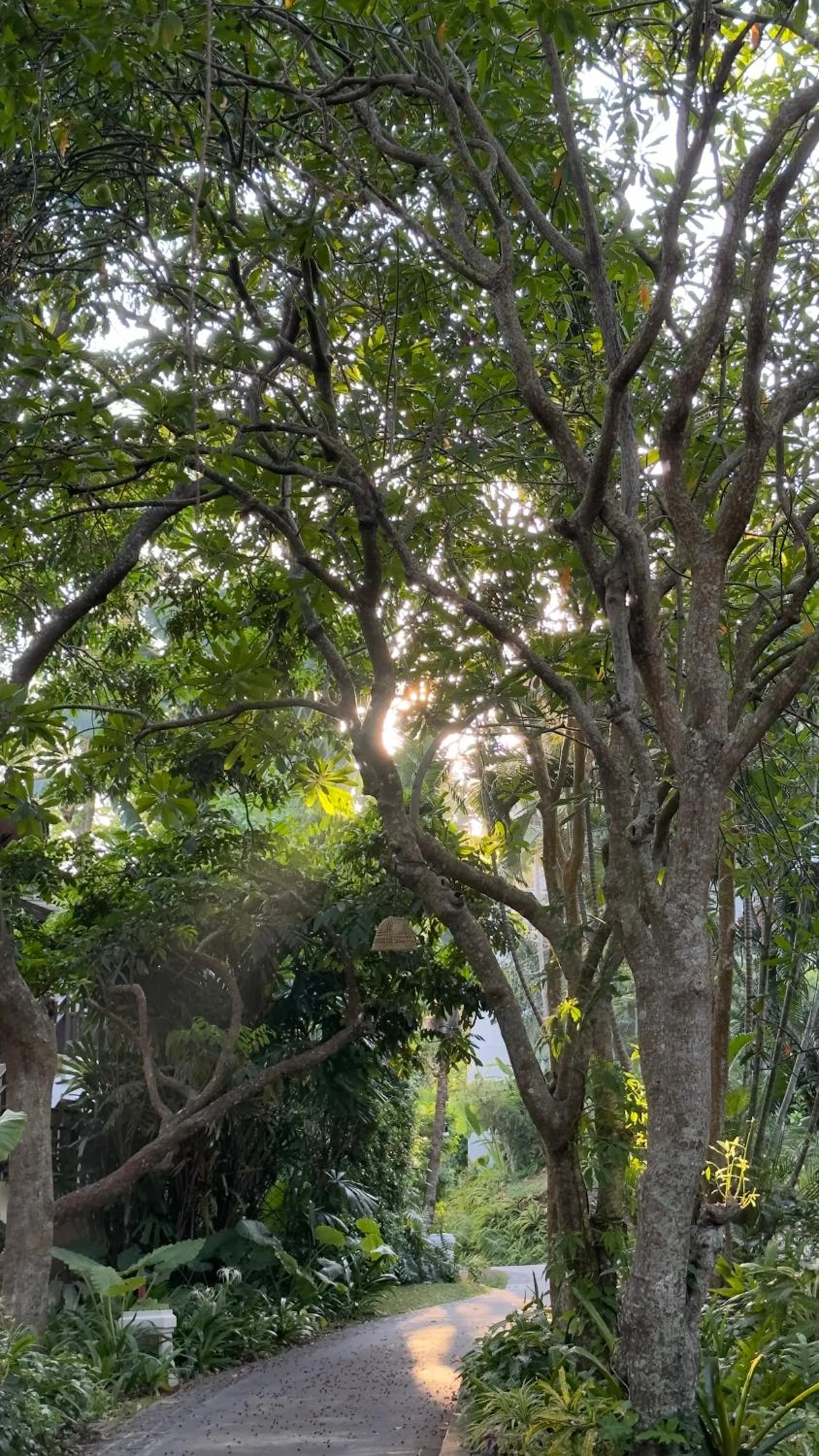 Garden in Rawi Warin Resort And Spa - SHA Extra Plus