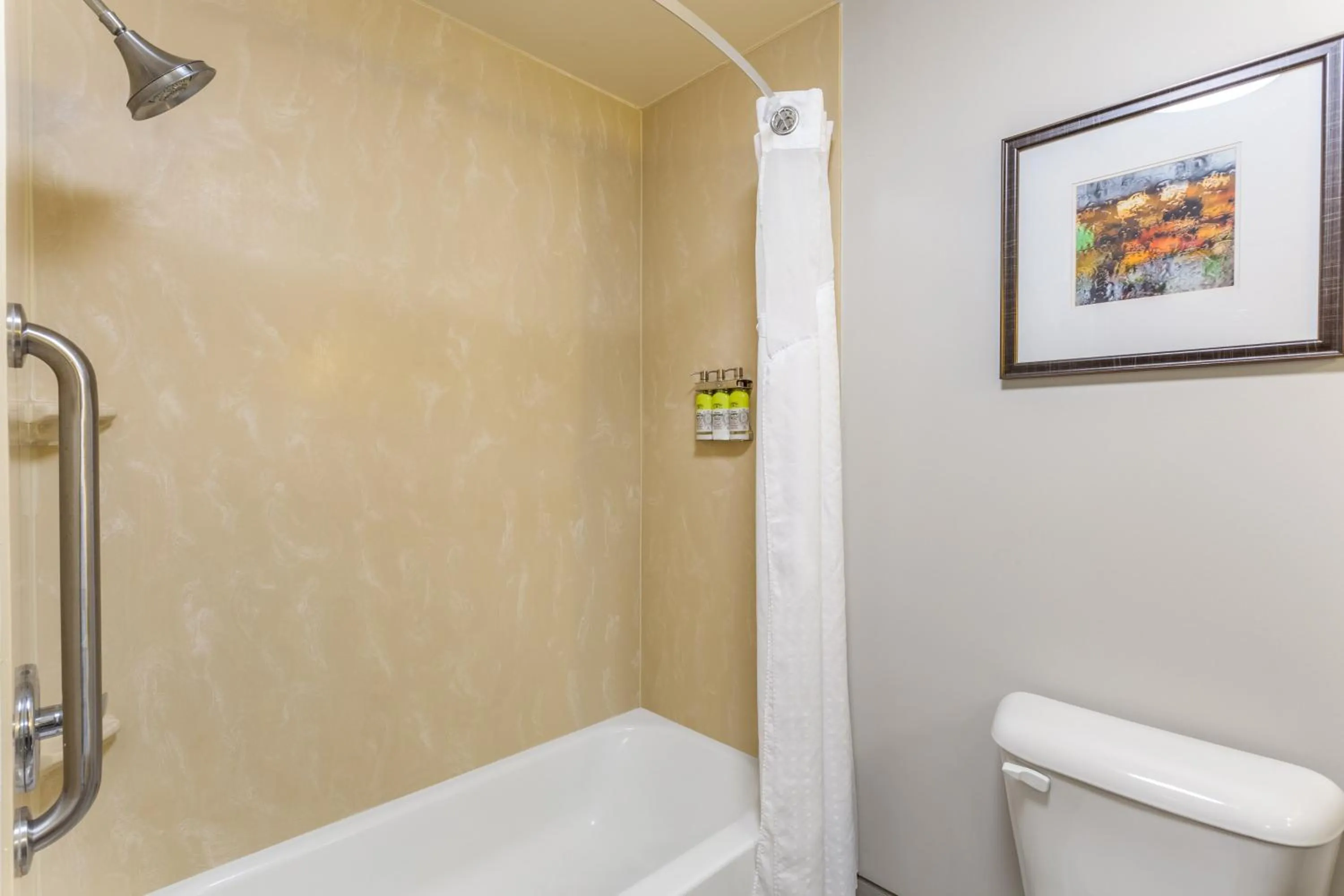 Bathroom in Holiday Inn Express - Albert Lea by IHG