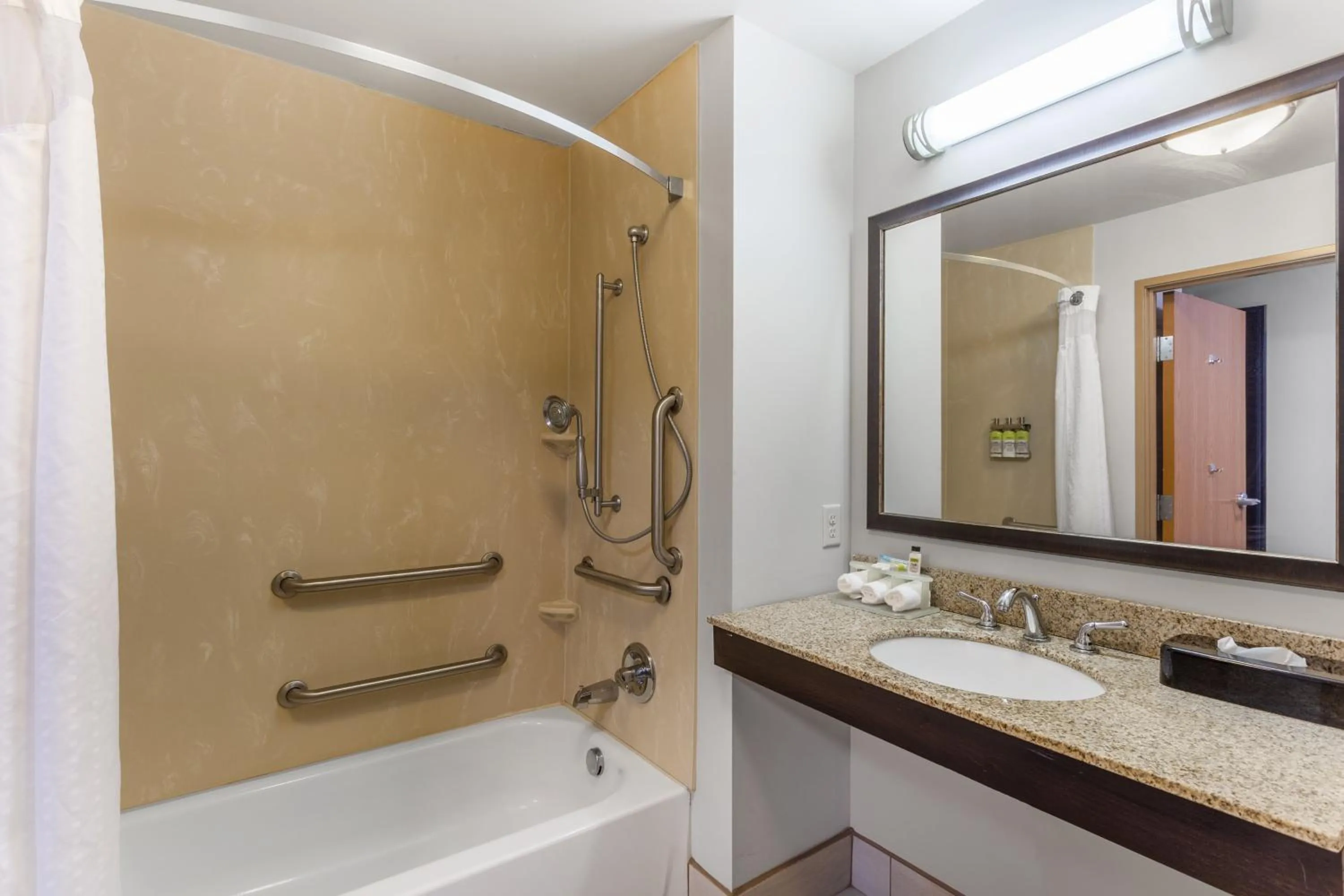 Bathroom in Holiday Inn Express - Albert Lea by IHG