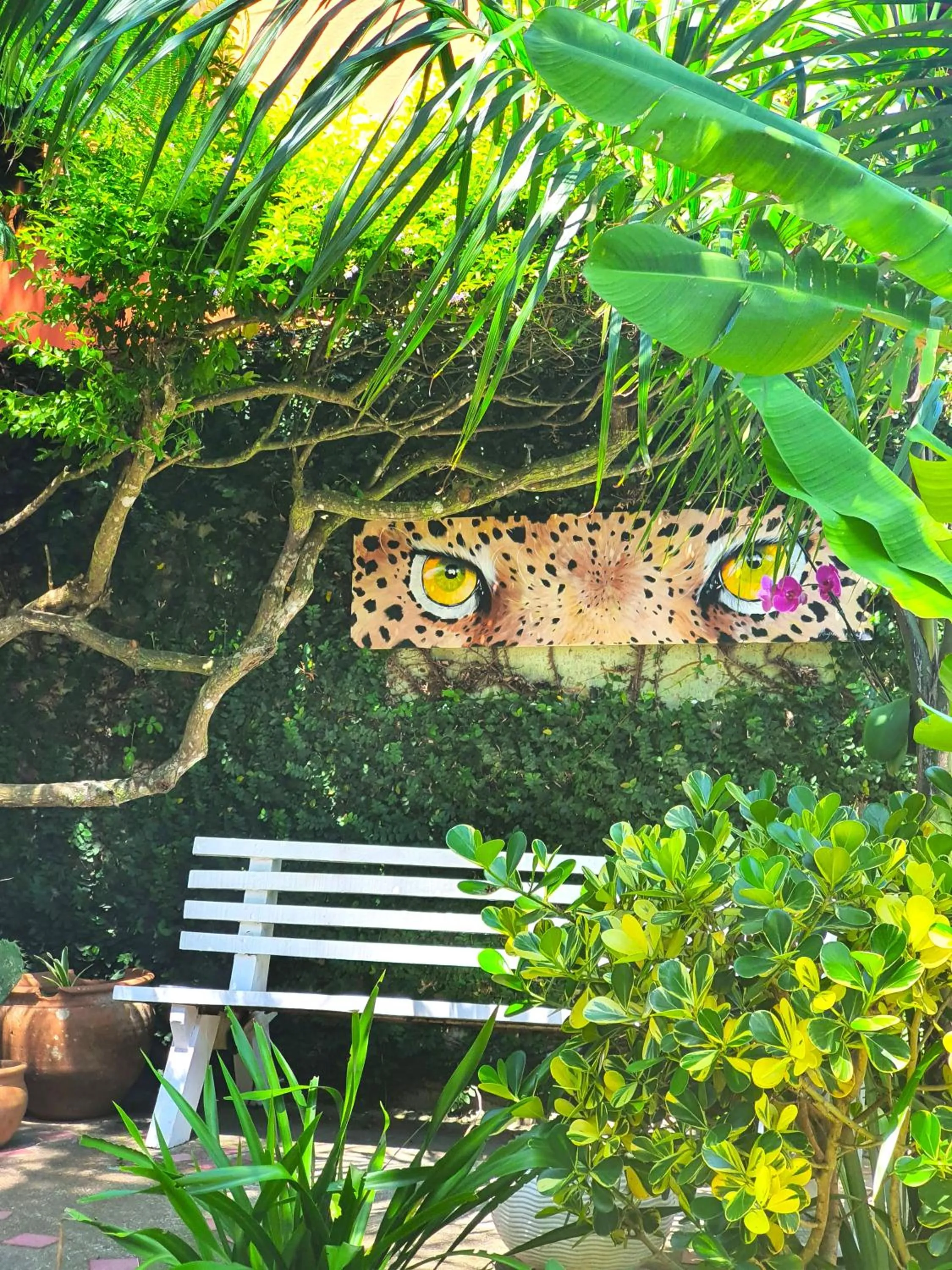 Day in Star Búzios Pousada