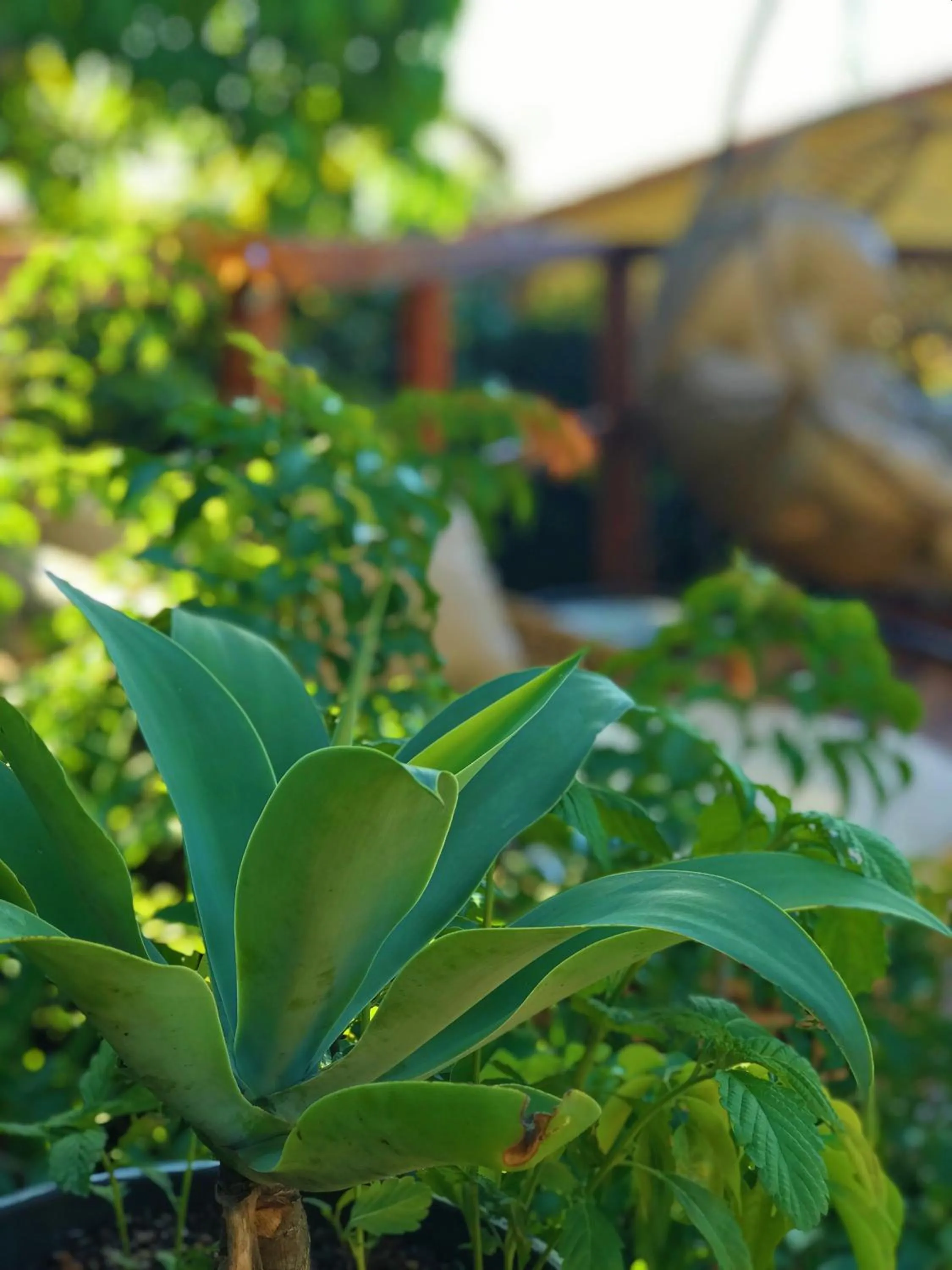 Day in Star Búzios Pousada