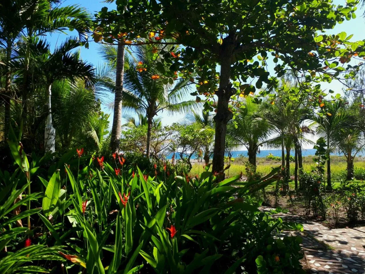 Natural landscape in Las Olas Beach Resort