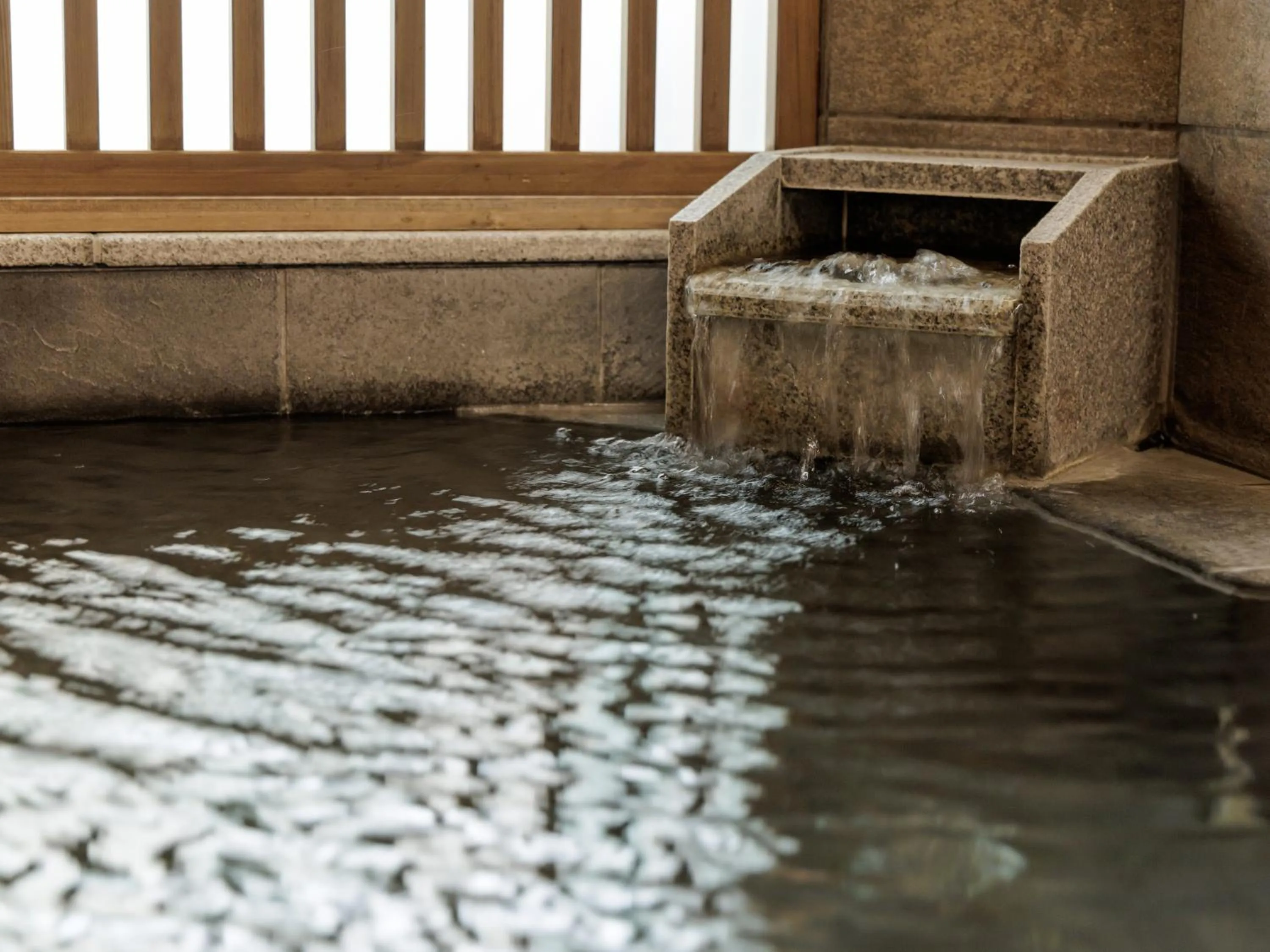 Public Bath in Nishitetsu Inn Kurosaki
