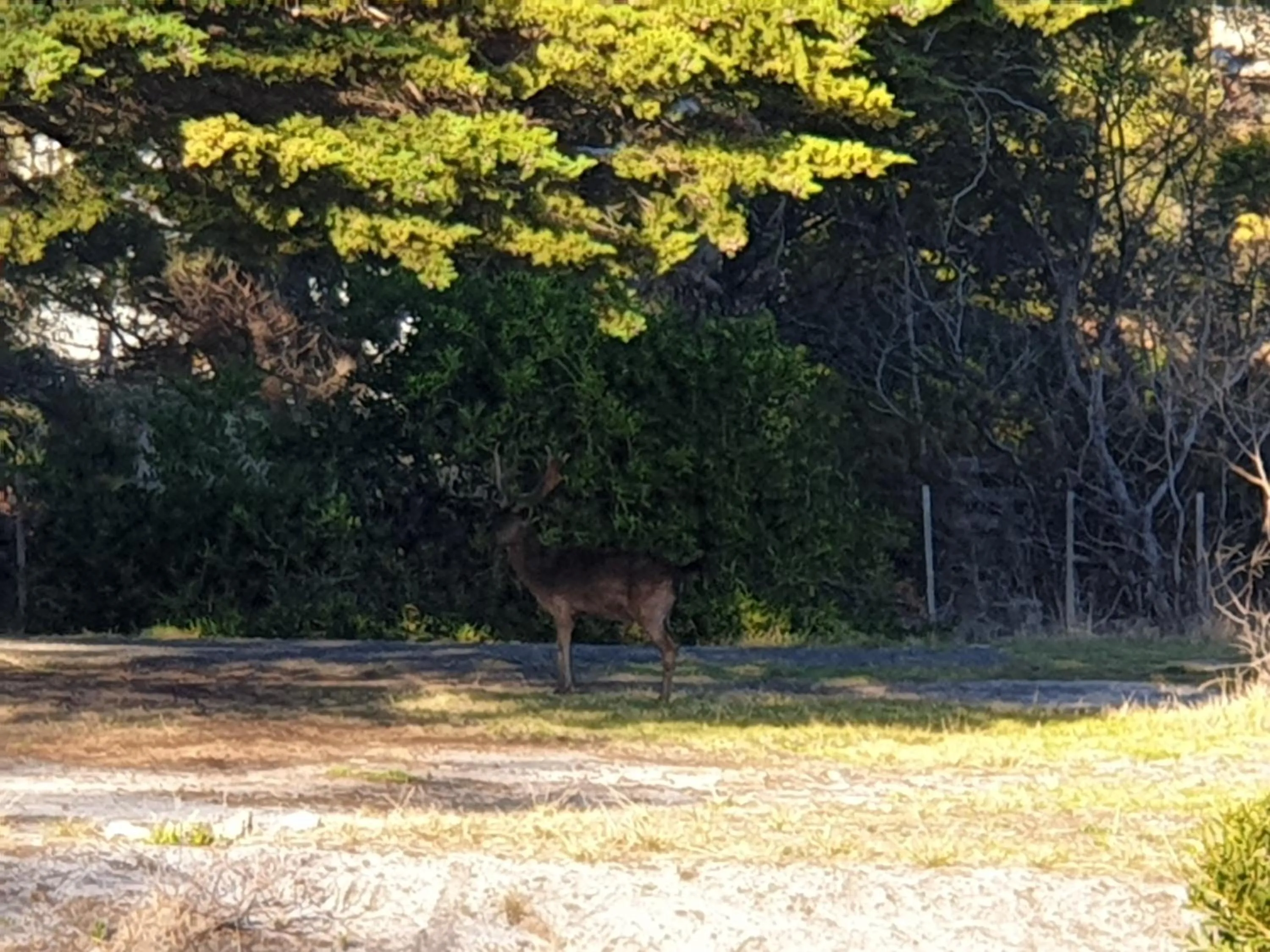 Day in Diamond Island Resort, Restaurant & Bar and Penguin Show