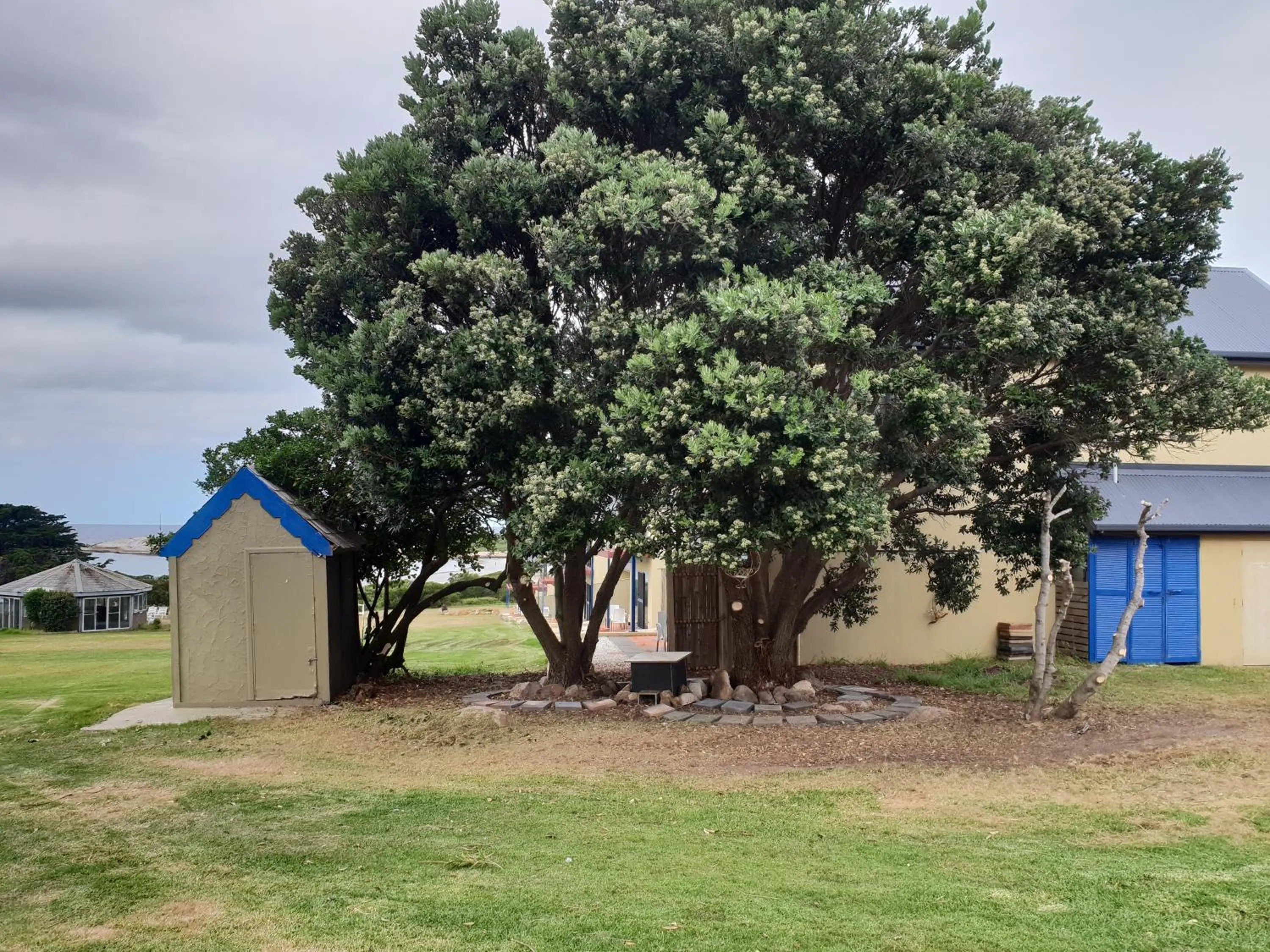 Property building in Diamond Island Resort, Restaurant & Bar and Penguin Show