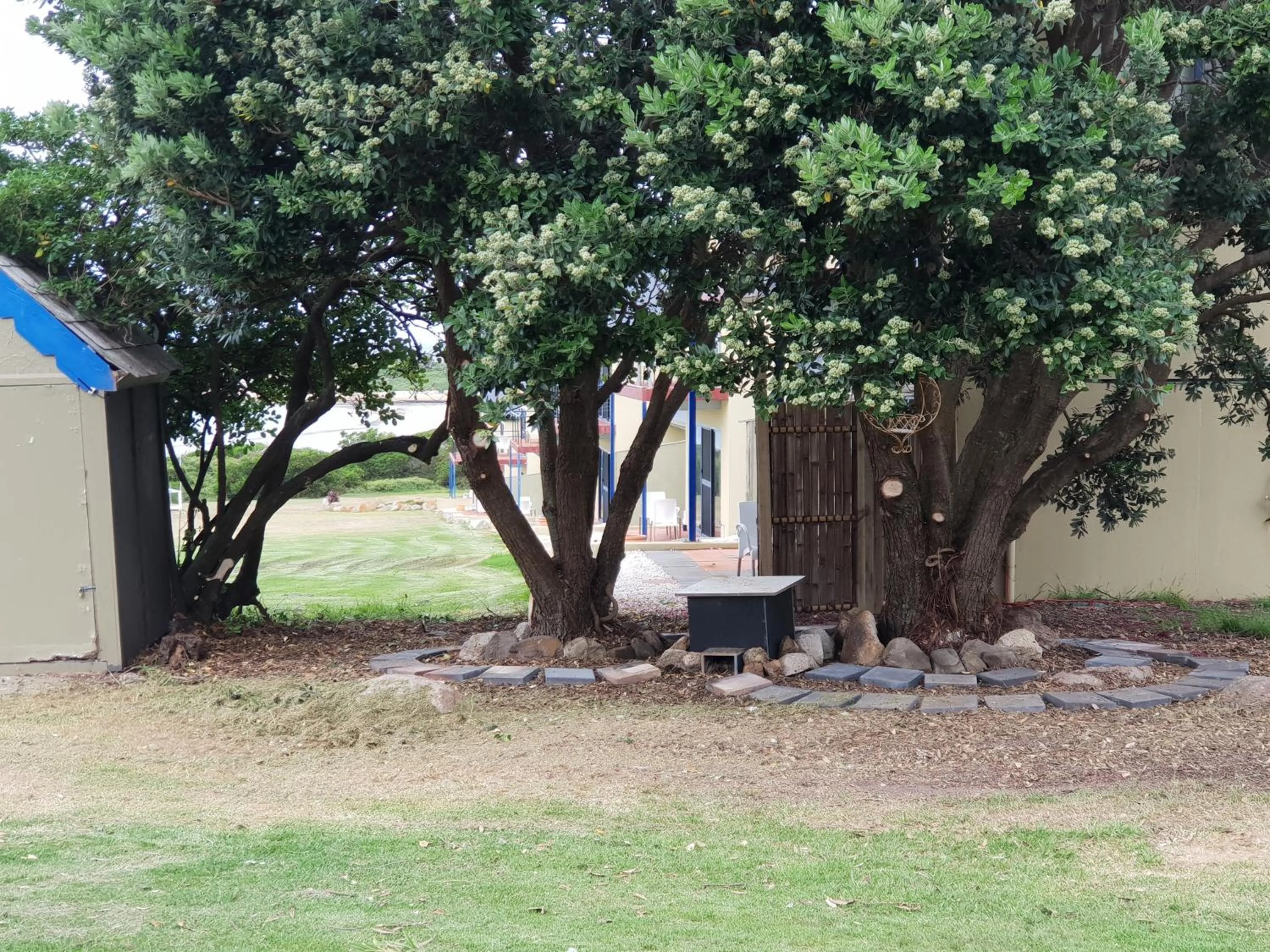 Garden view in Diamond Island Resort, Restaurant & Bar and Penguin Show