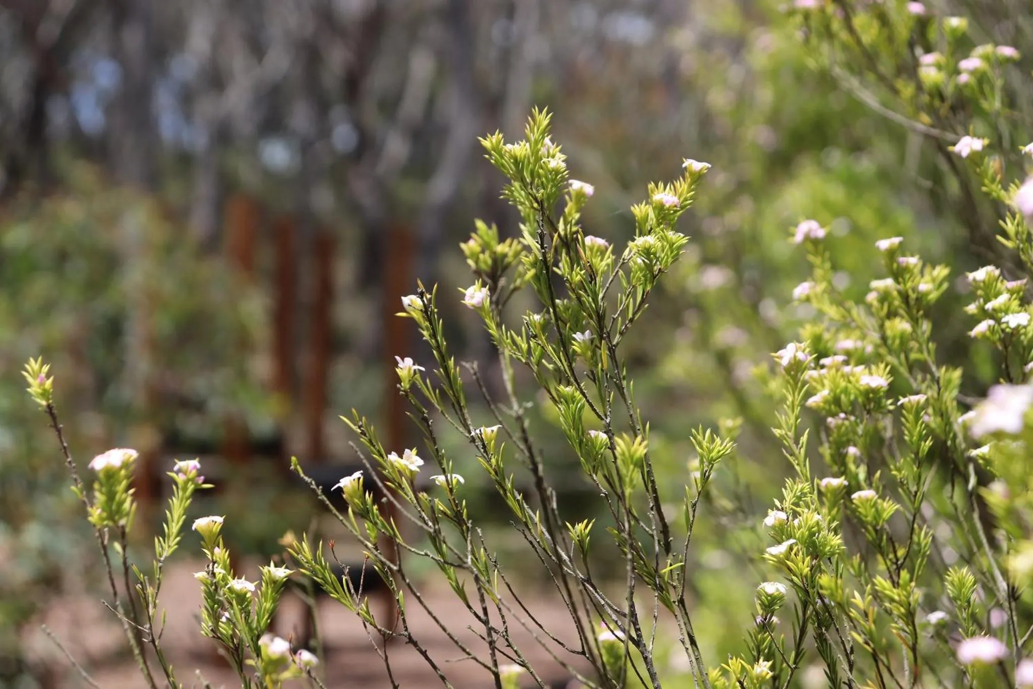 Property building in Sinofield Edu-Retreat