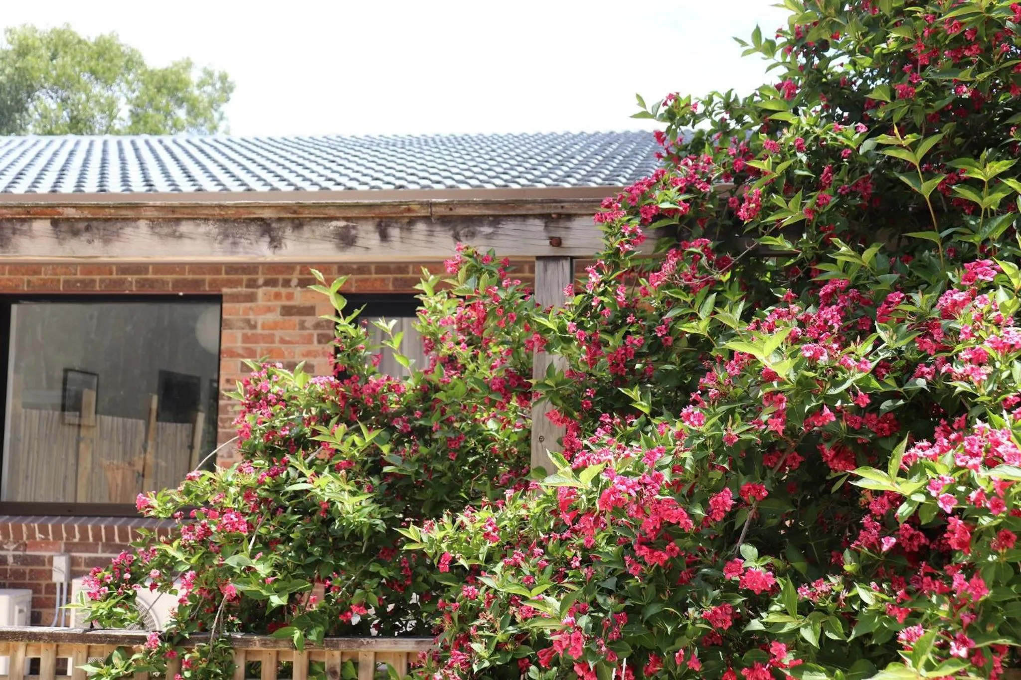 Property building in Sinofield Edu-Retreat