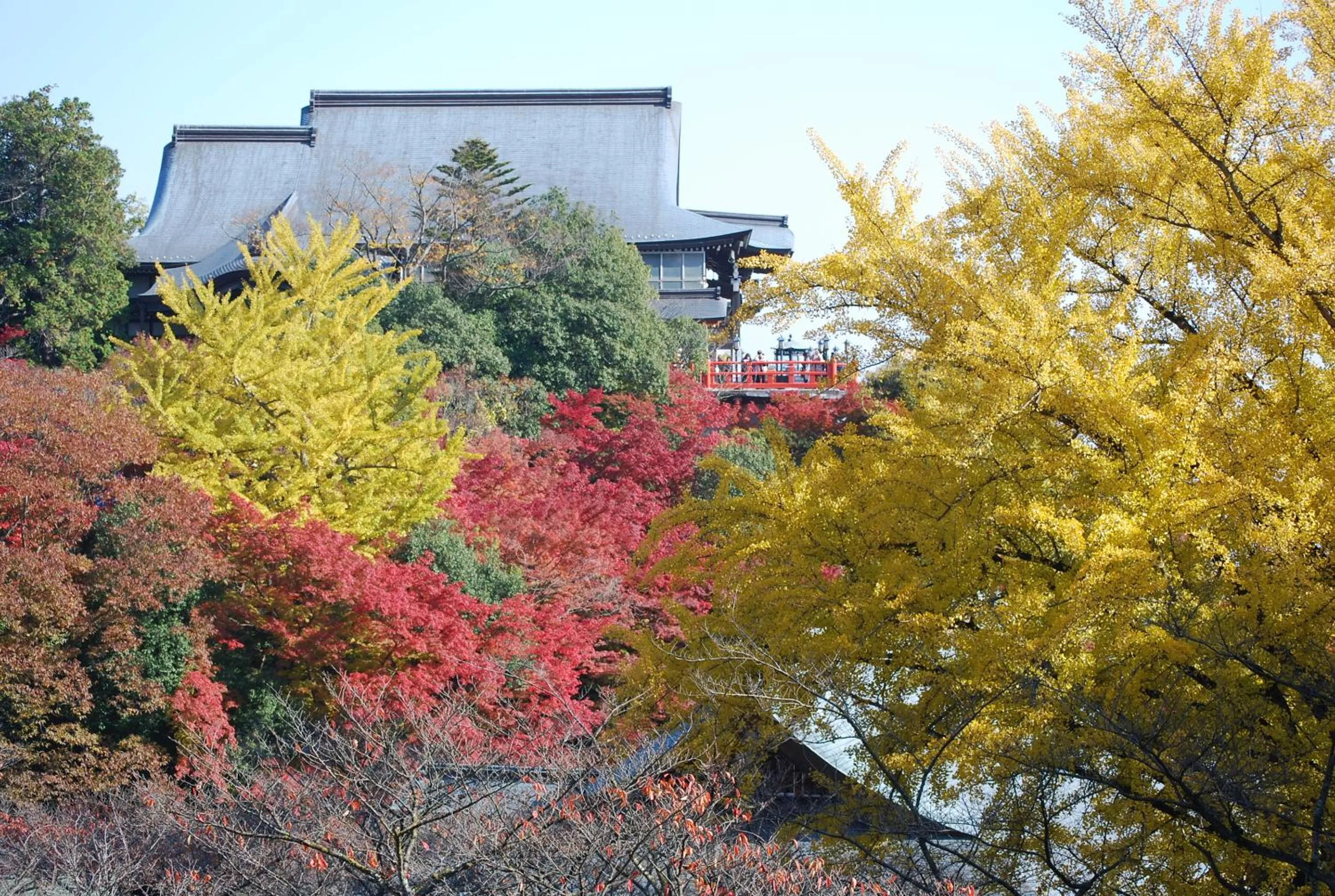 View (from property/room) in Gyokuzoin