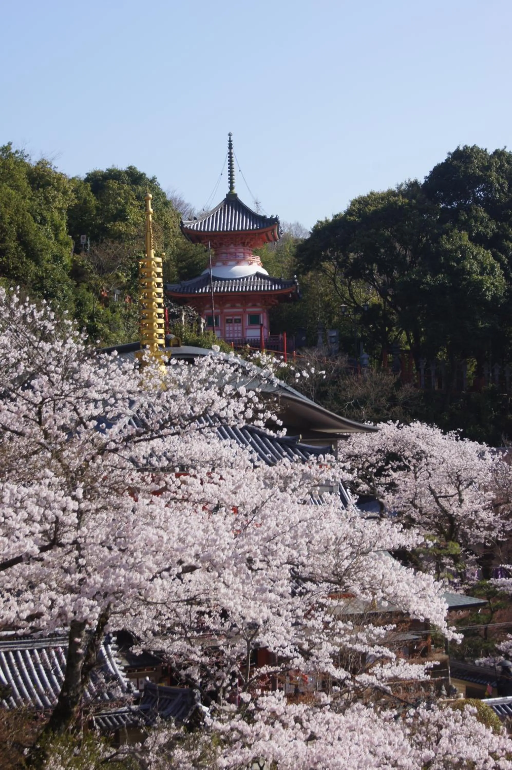 Spring in Gyokuzoin