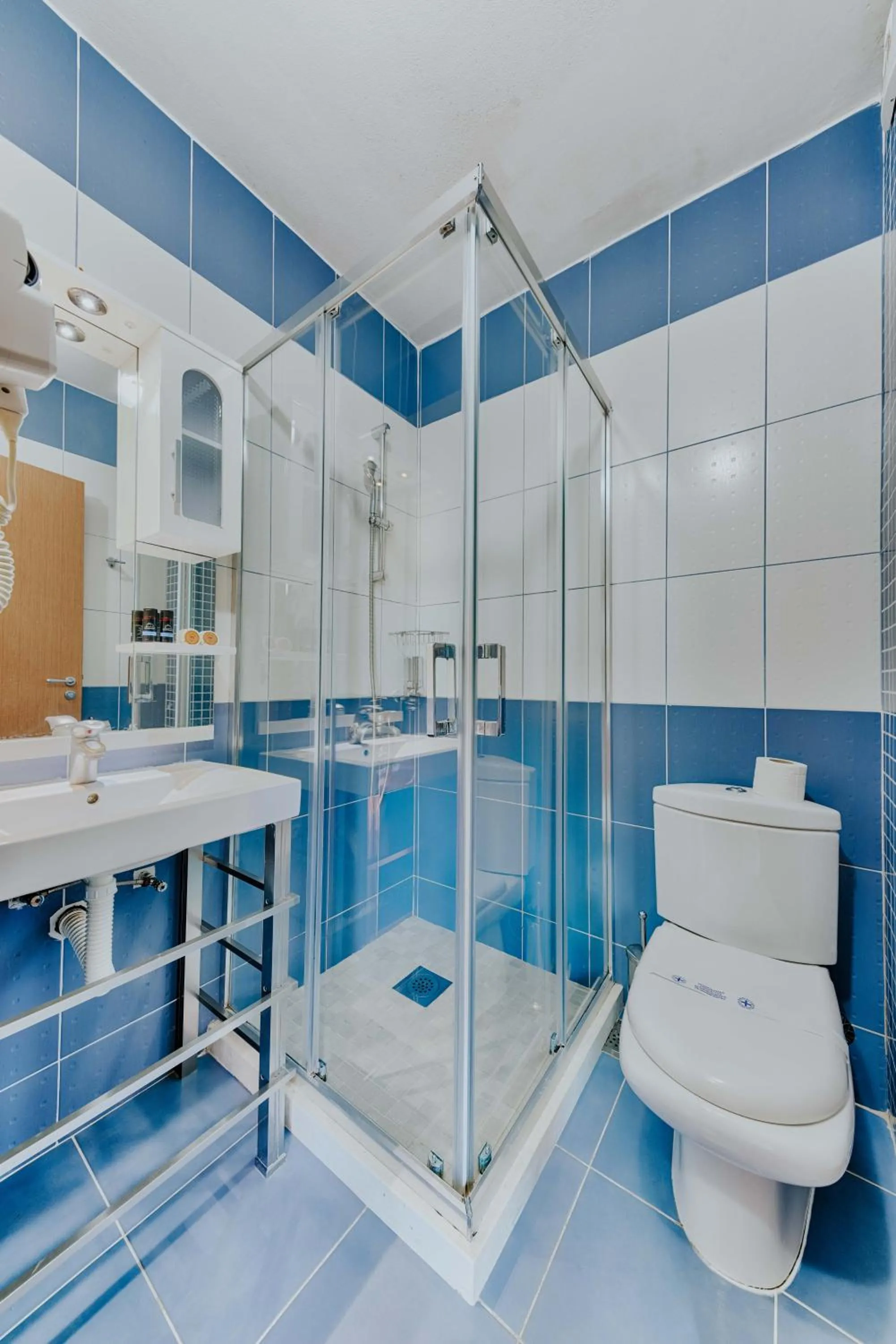 Bathroom in Hotel Lion