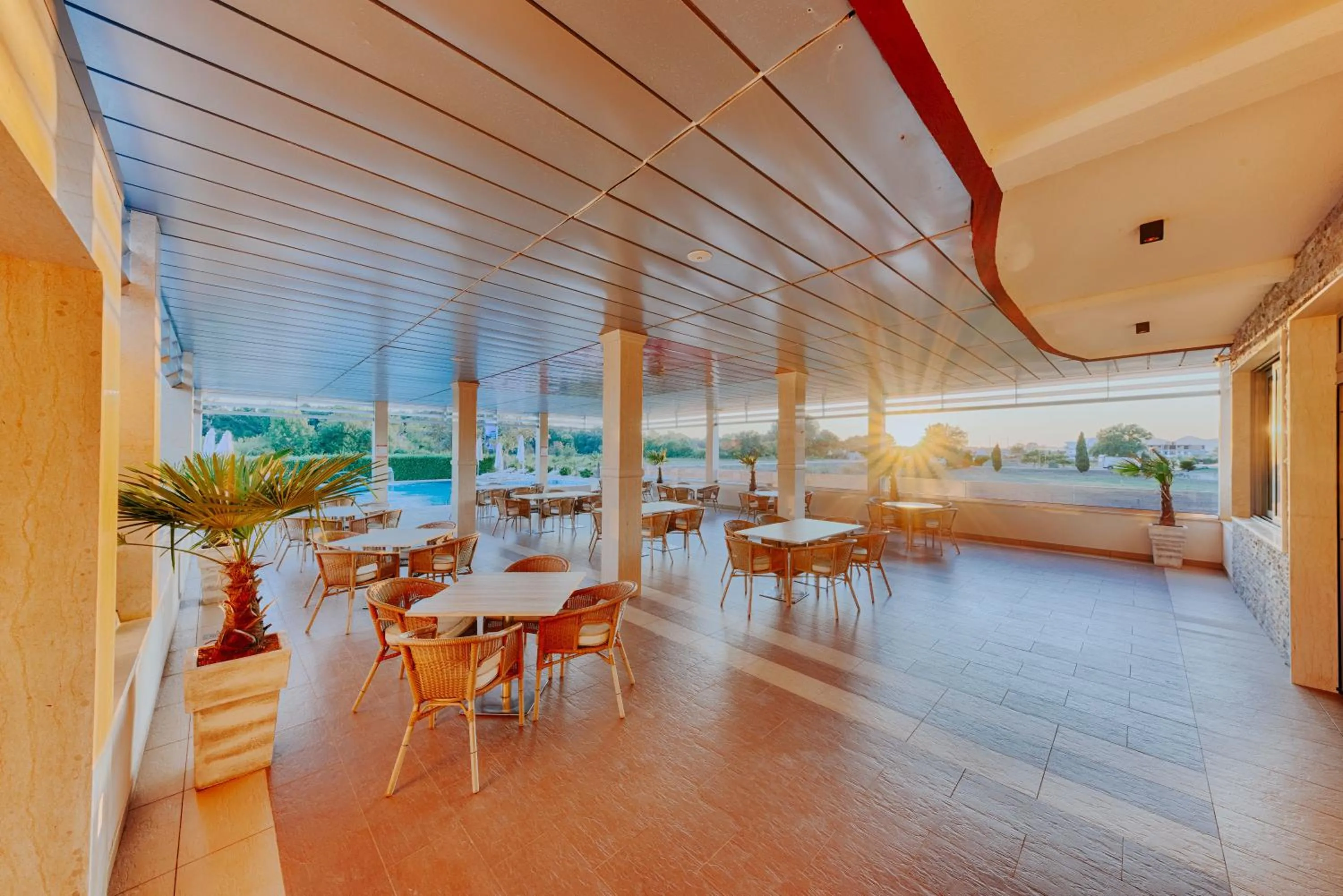 Lounge or bar in Hotel Lion