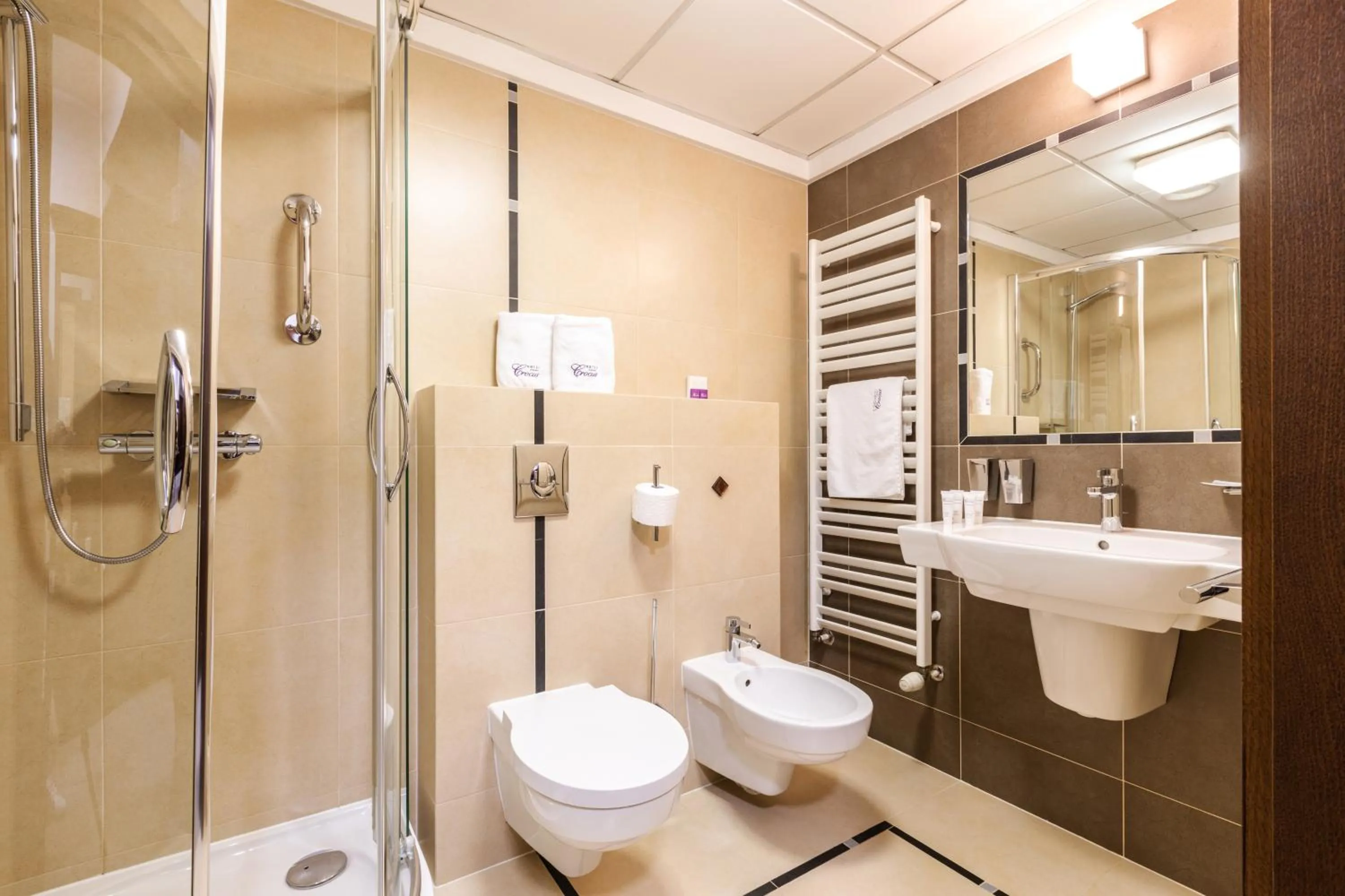 Shower in Hotel Crocus