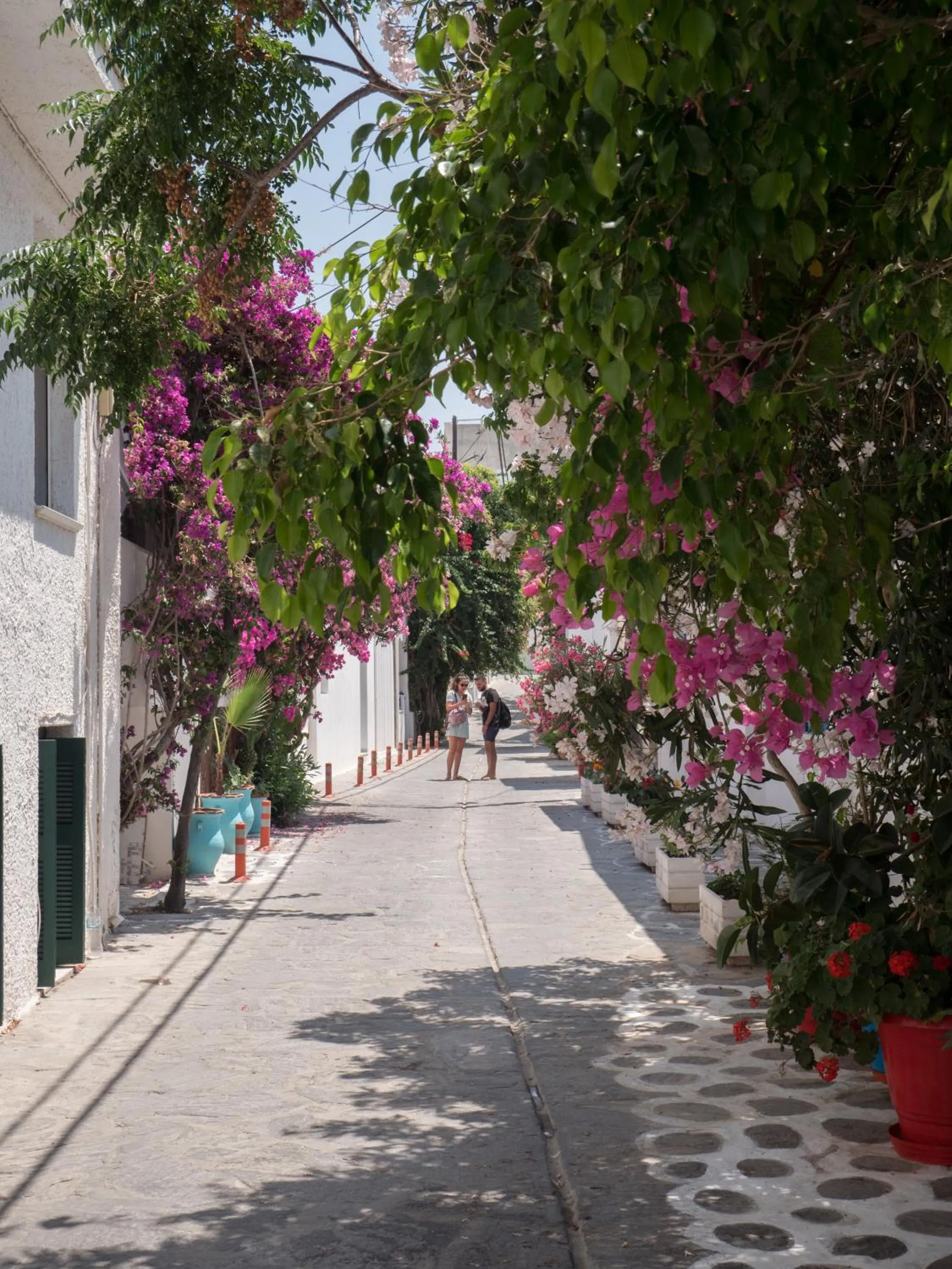 Neighbourhood in TERRA FOS NAXOS STUDIOS