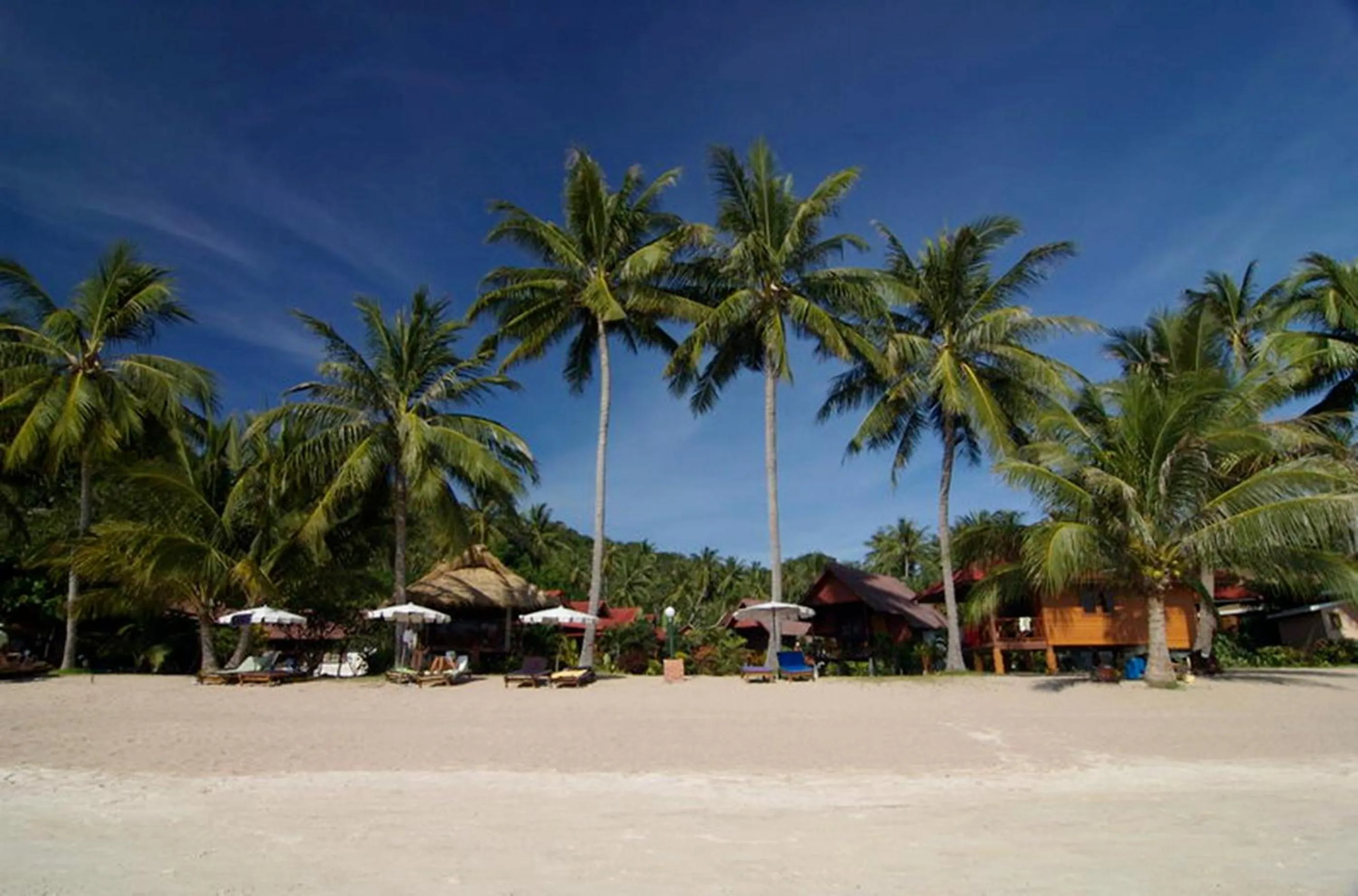 Area and facilities in Palm Leaf Resort Koh Tao