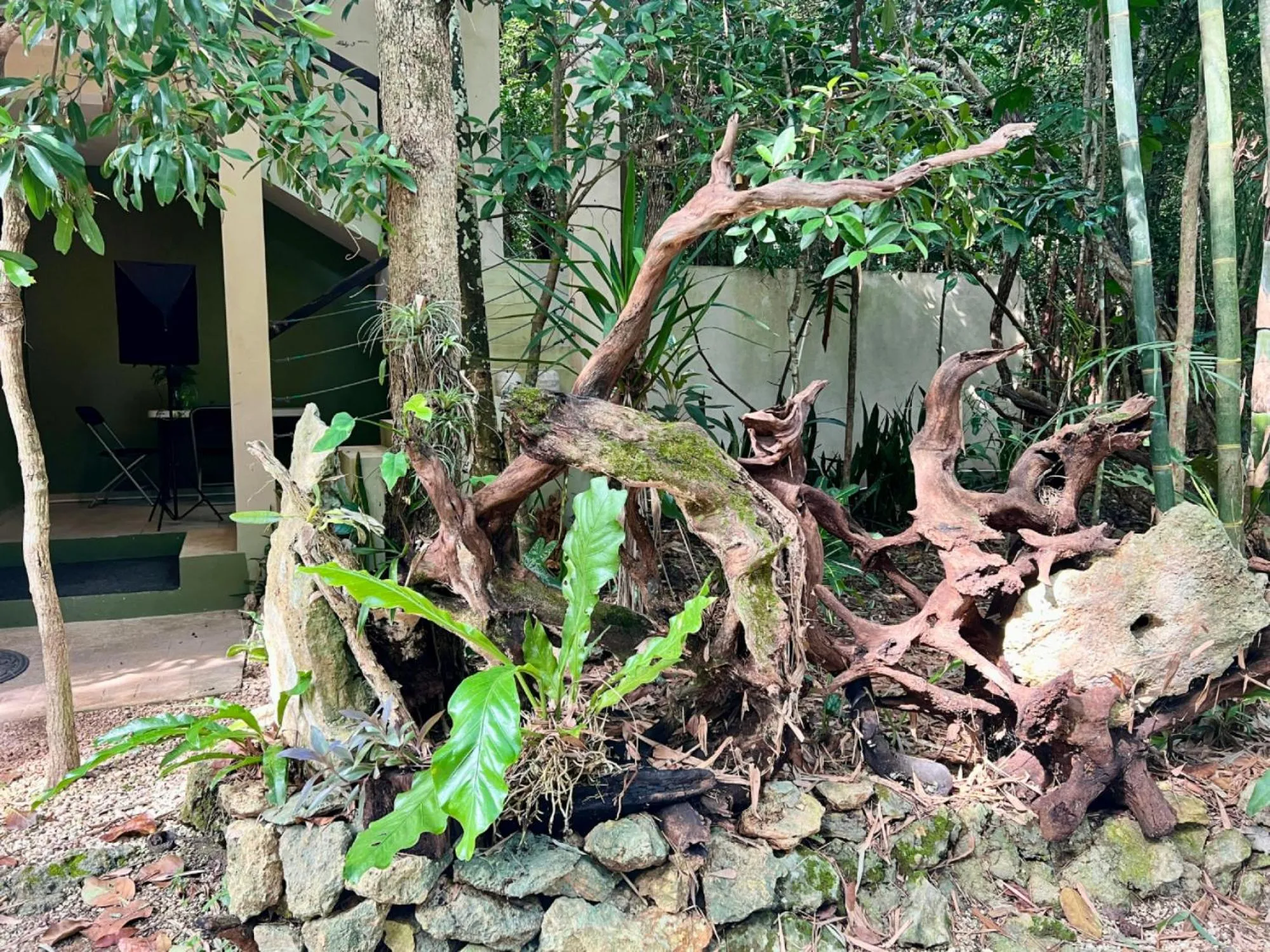 Spring in Hokhmah Heart Hotel